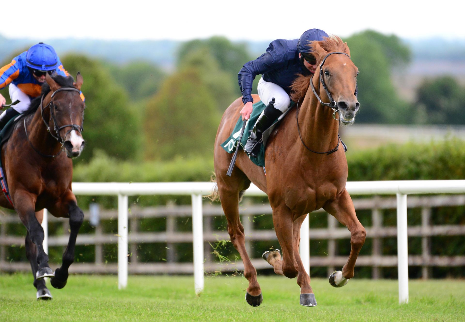 Chief Little Hawk (Air Force Blue) Navan Victory