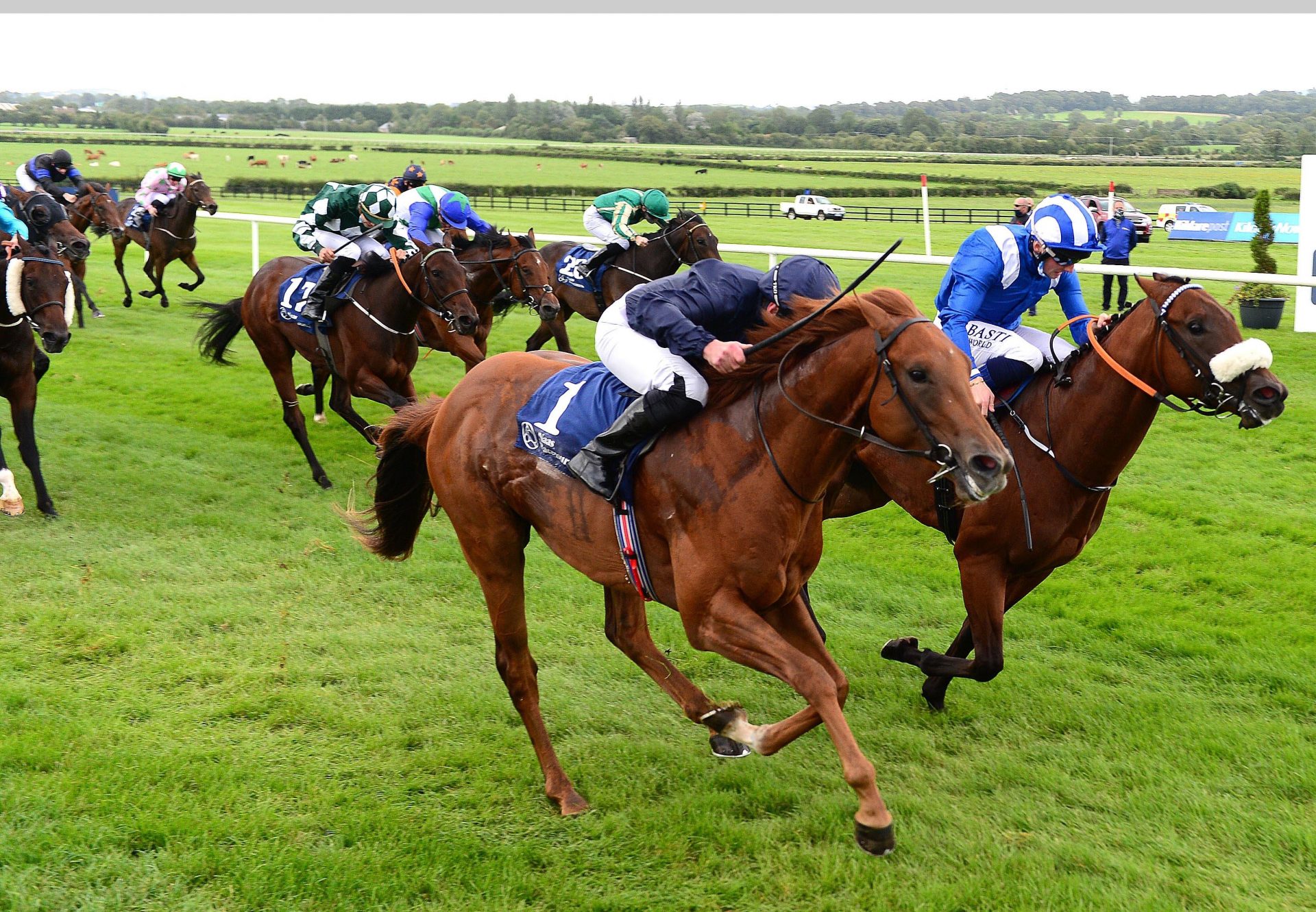 Chief Little Hawk (Air Force Blue) Wins the Irish EBF Ballyhane Stakes at Naas