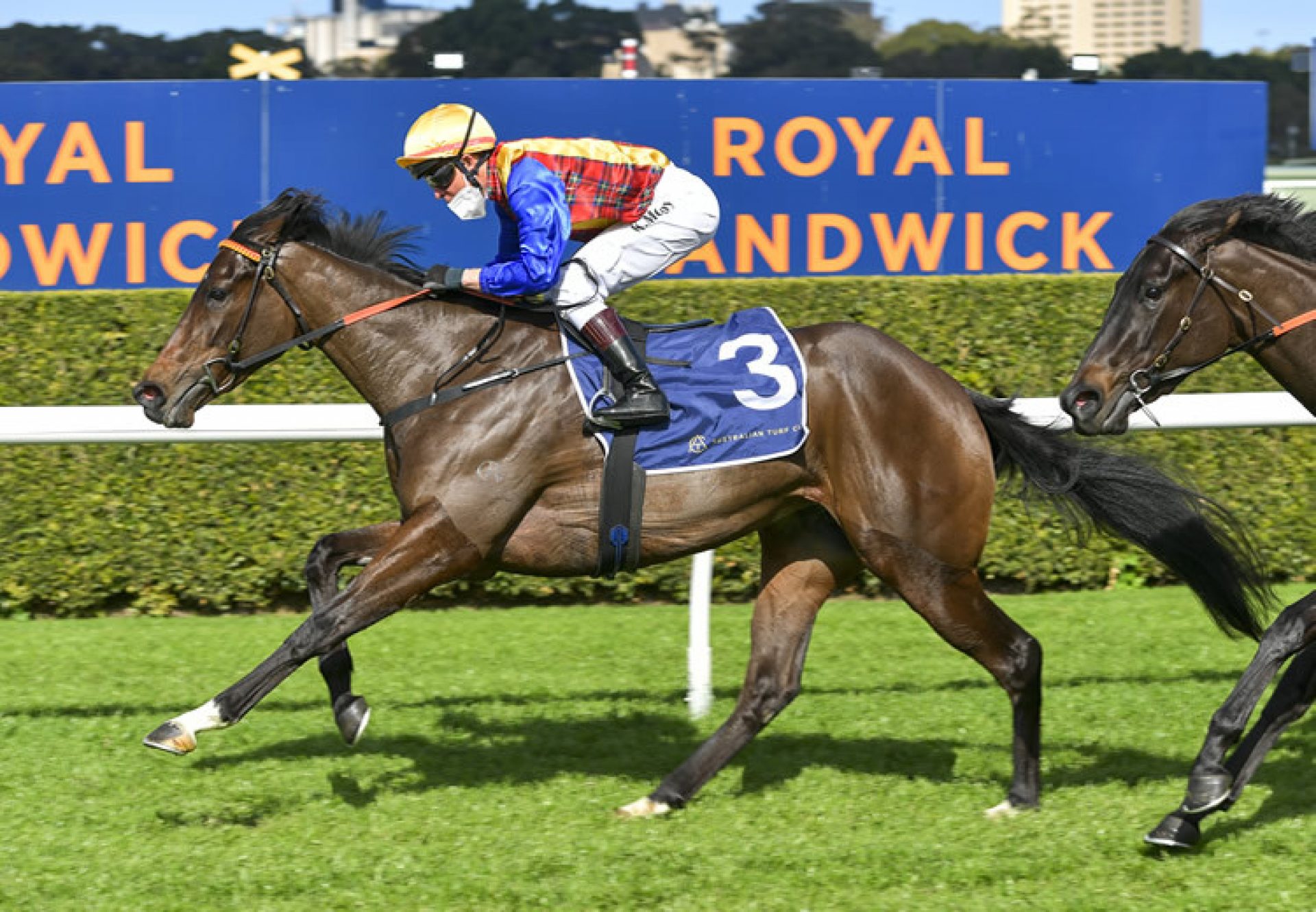 Chill (Vancouver) winning at Randwick