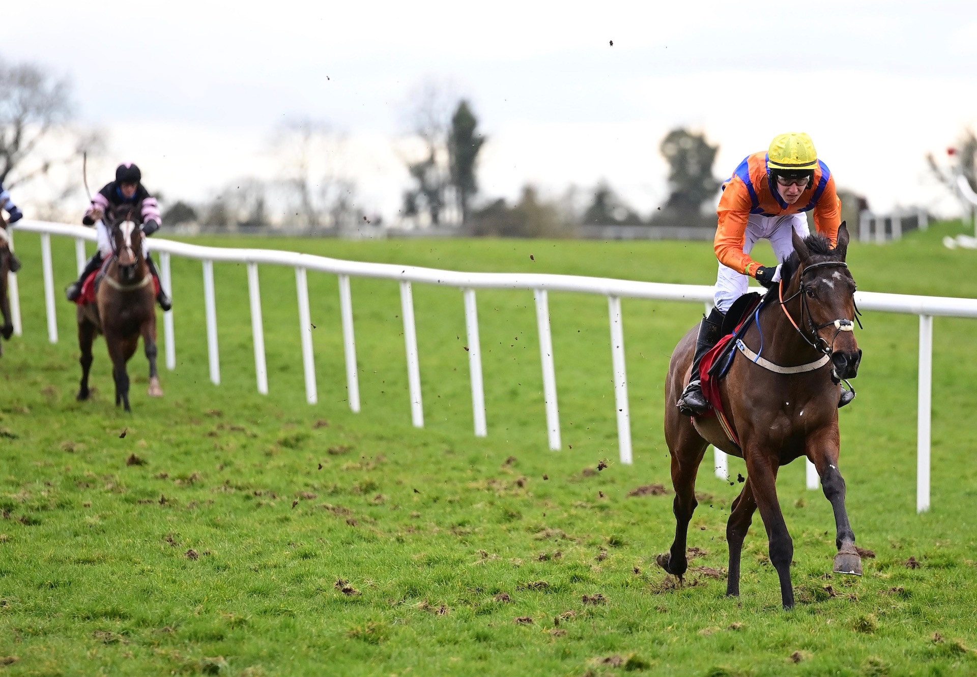 Choice Of Words (Yeats) Wins At Punchestown