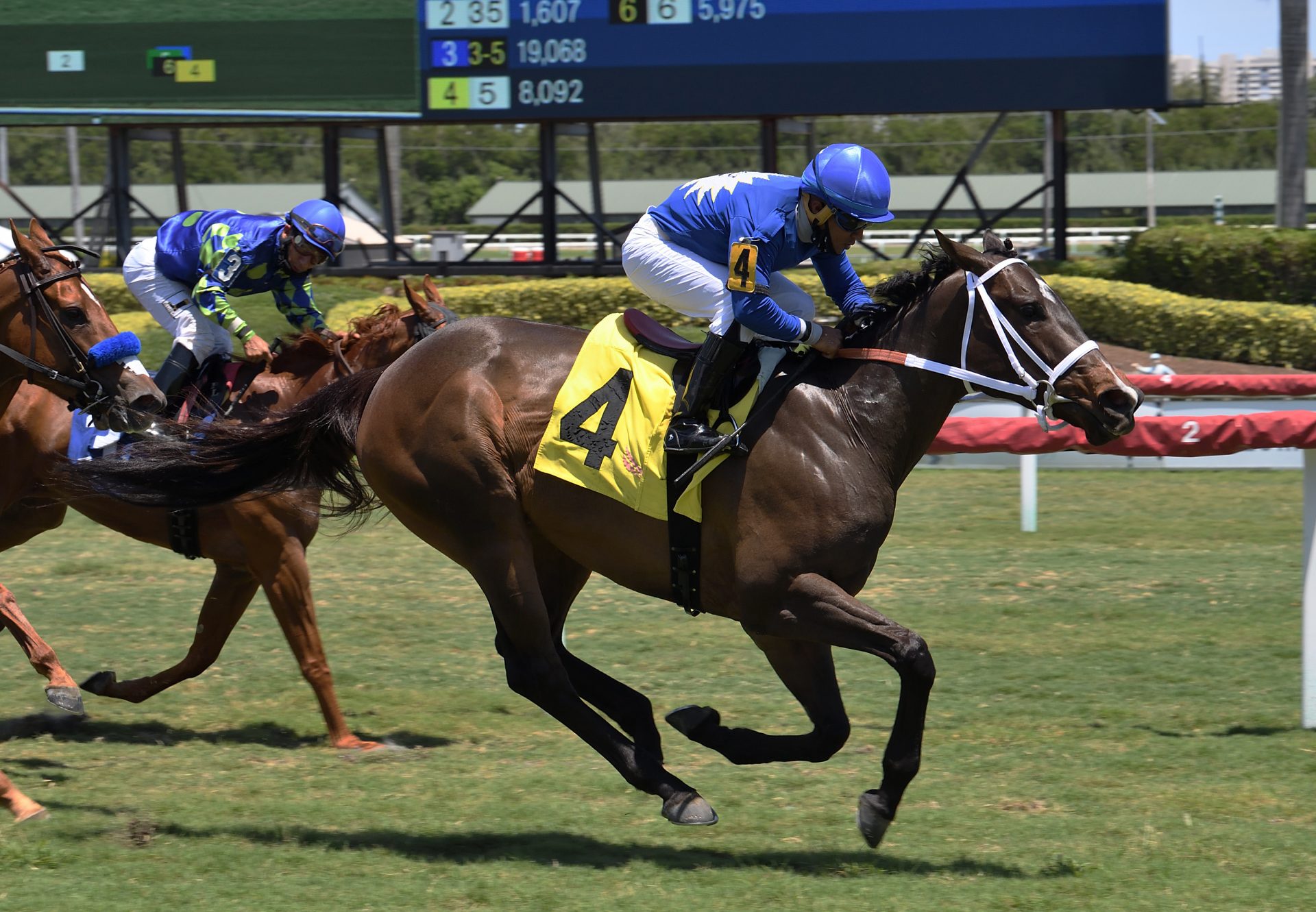 Choose Joy (Munnings) Golden Beach Handicap at Gulfstream Park