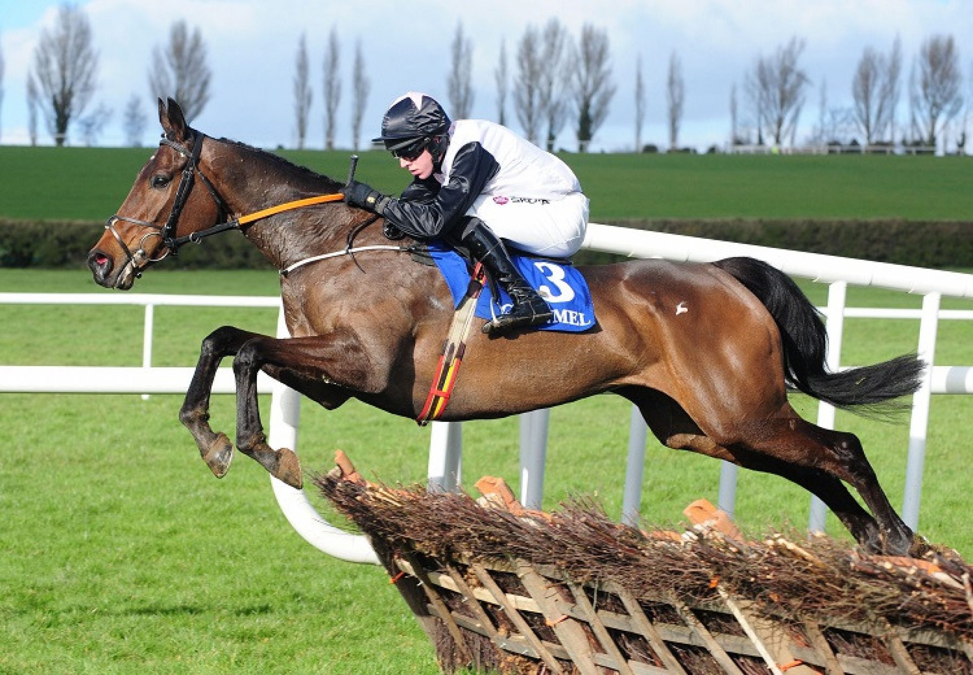 Chris's Dream (Mahler) winning the G3 Surehaul Mercedes-Benz Novice Hurdle at Clonmel