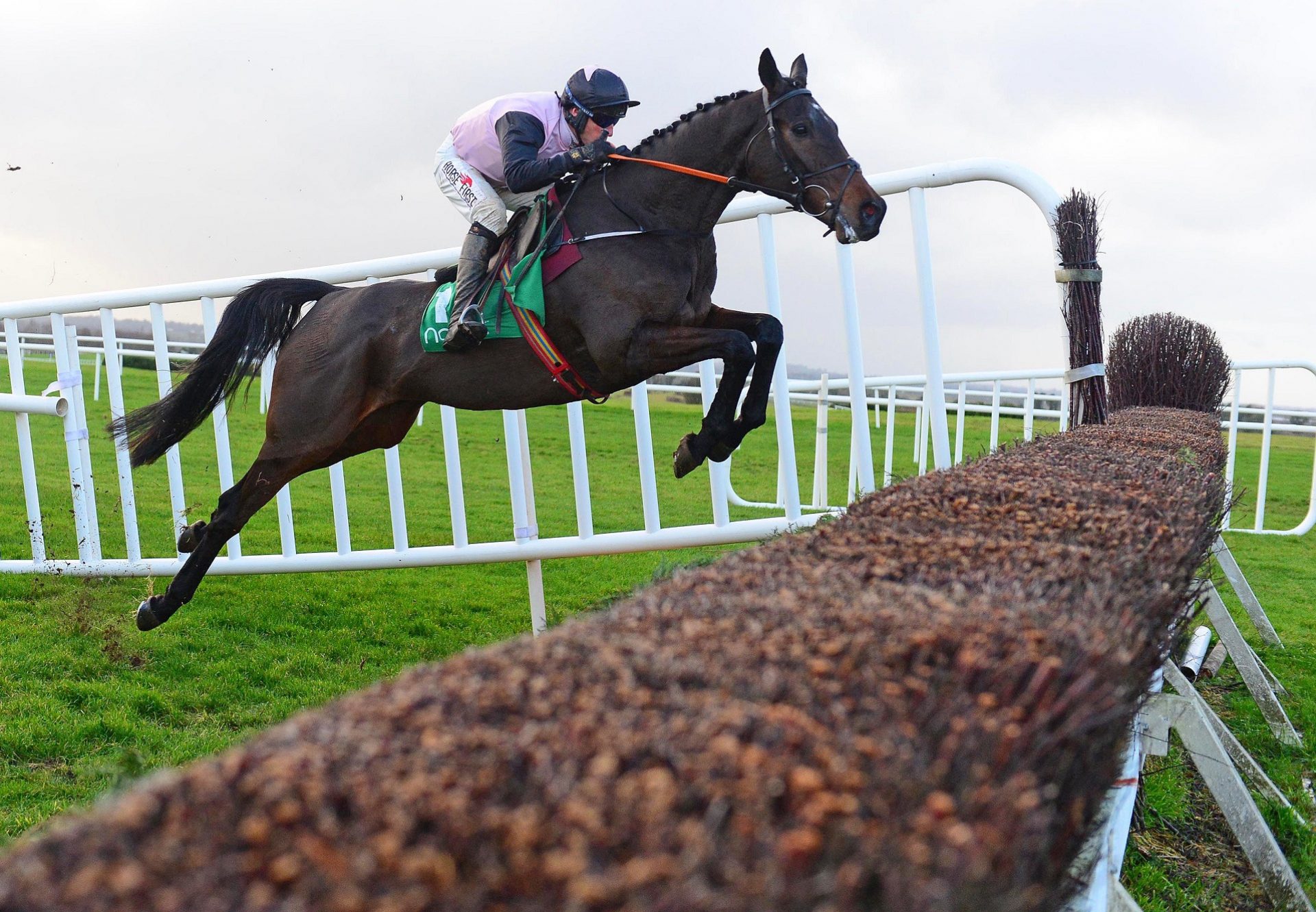 Chris's Dream (Mahler) winning a beginners chase at Navan