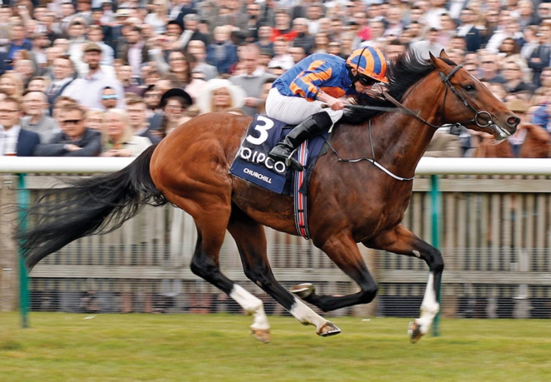 Churchill (Galileo) winning the G1 2000 Guineas at Newmarket