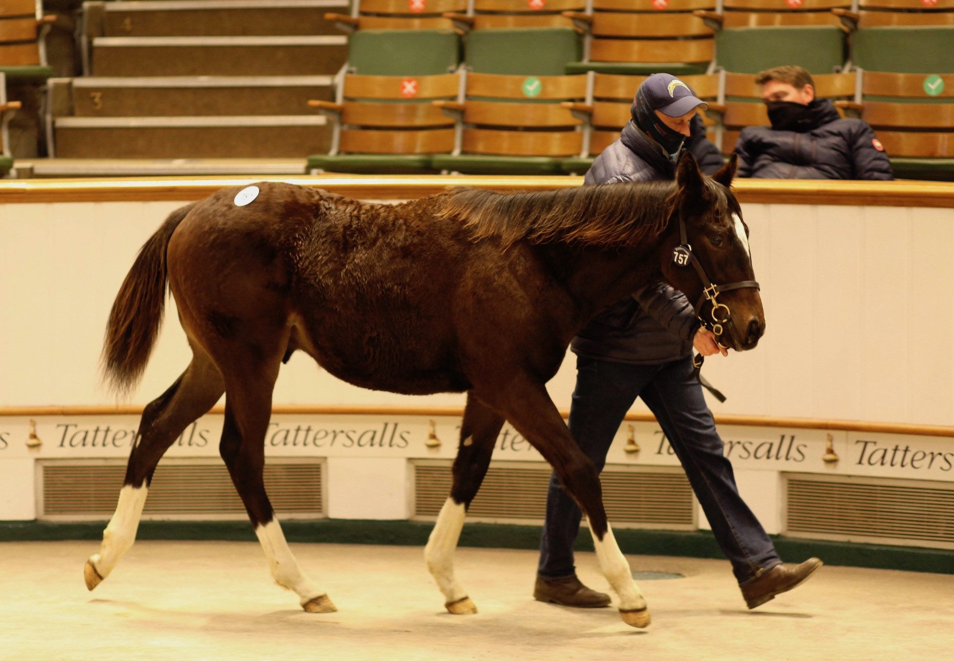 Churchill Colt Ex Ihtifal