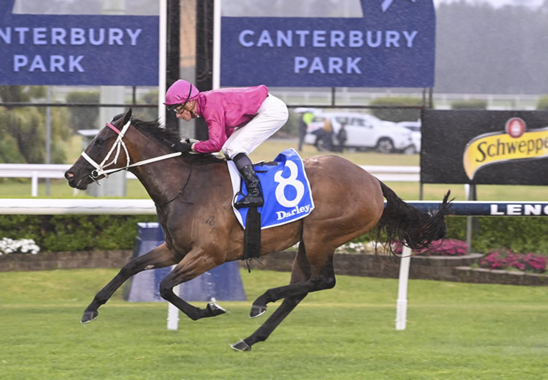 Cigar Flick (Churchill) winning at Canterbury