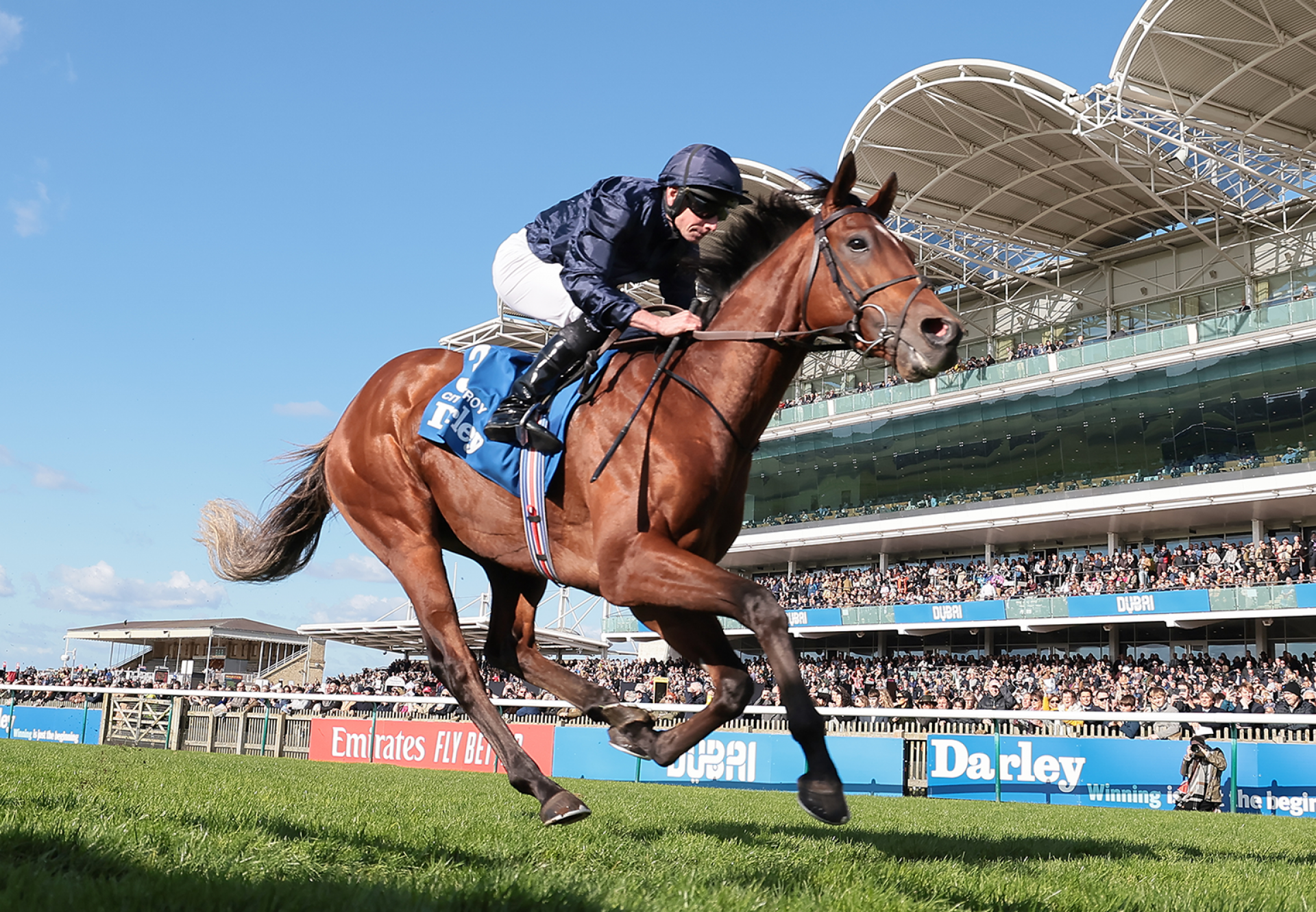 City Of Troy (Justify) Wins The Gr.1 Dewhurst Stakes at Newmarket