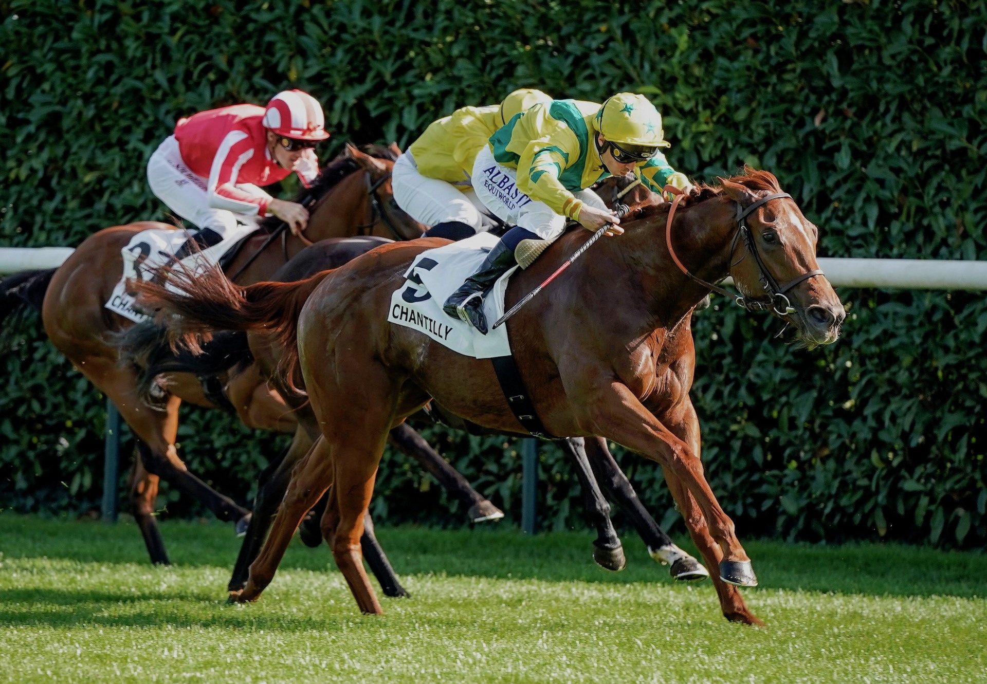 Classic Flower (Calyx) Wins The Group 2 Criterium De Maisons-Laffitte At Chantilly