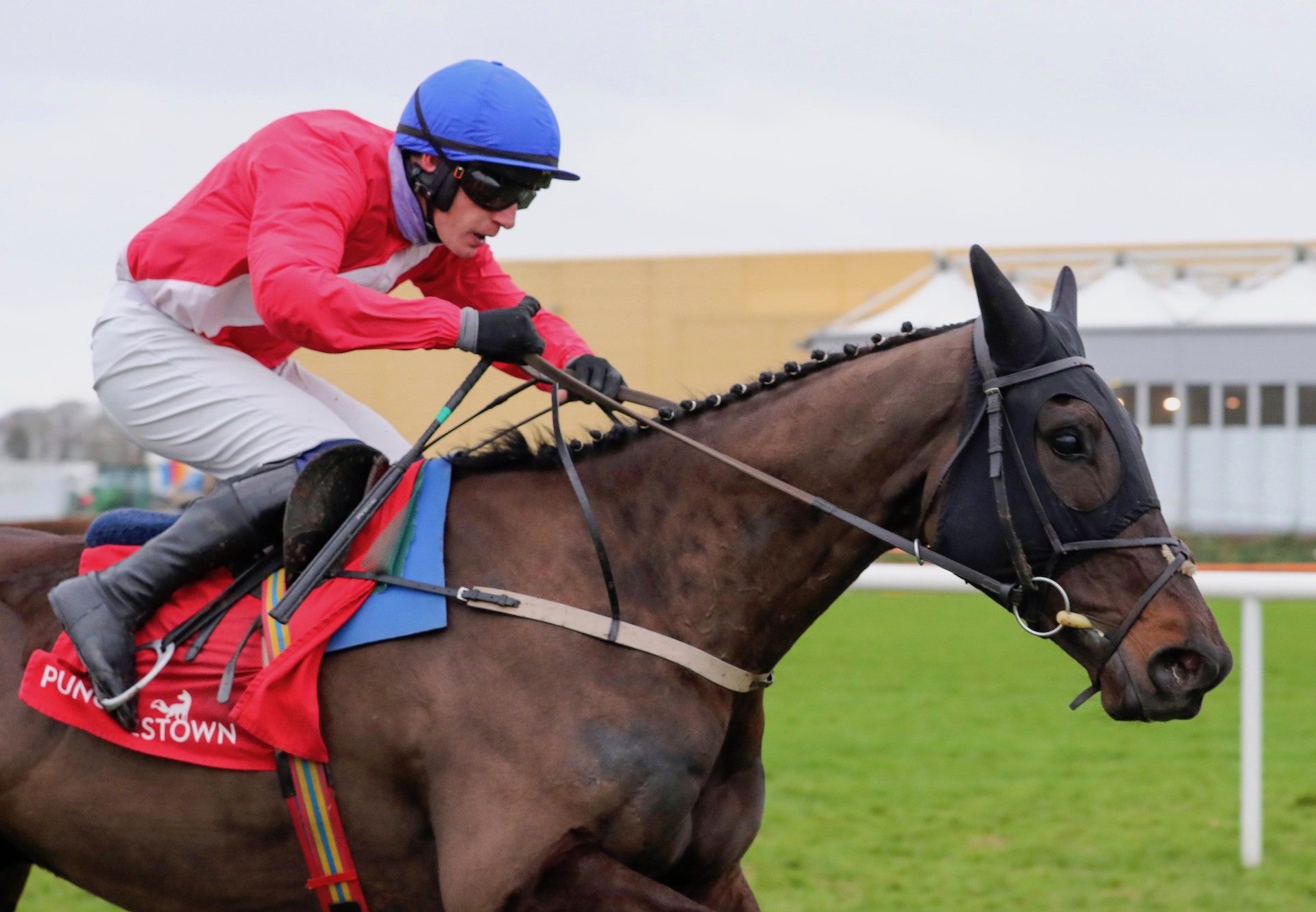 Classic Getaway (Getaway) Wins The Maiden Hurdle At Punchestown