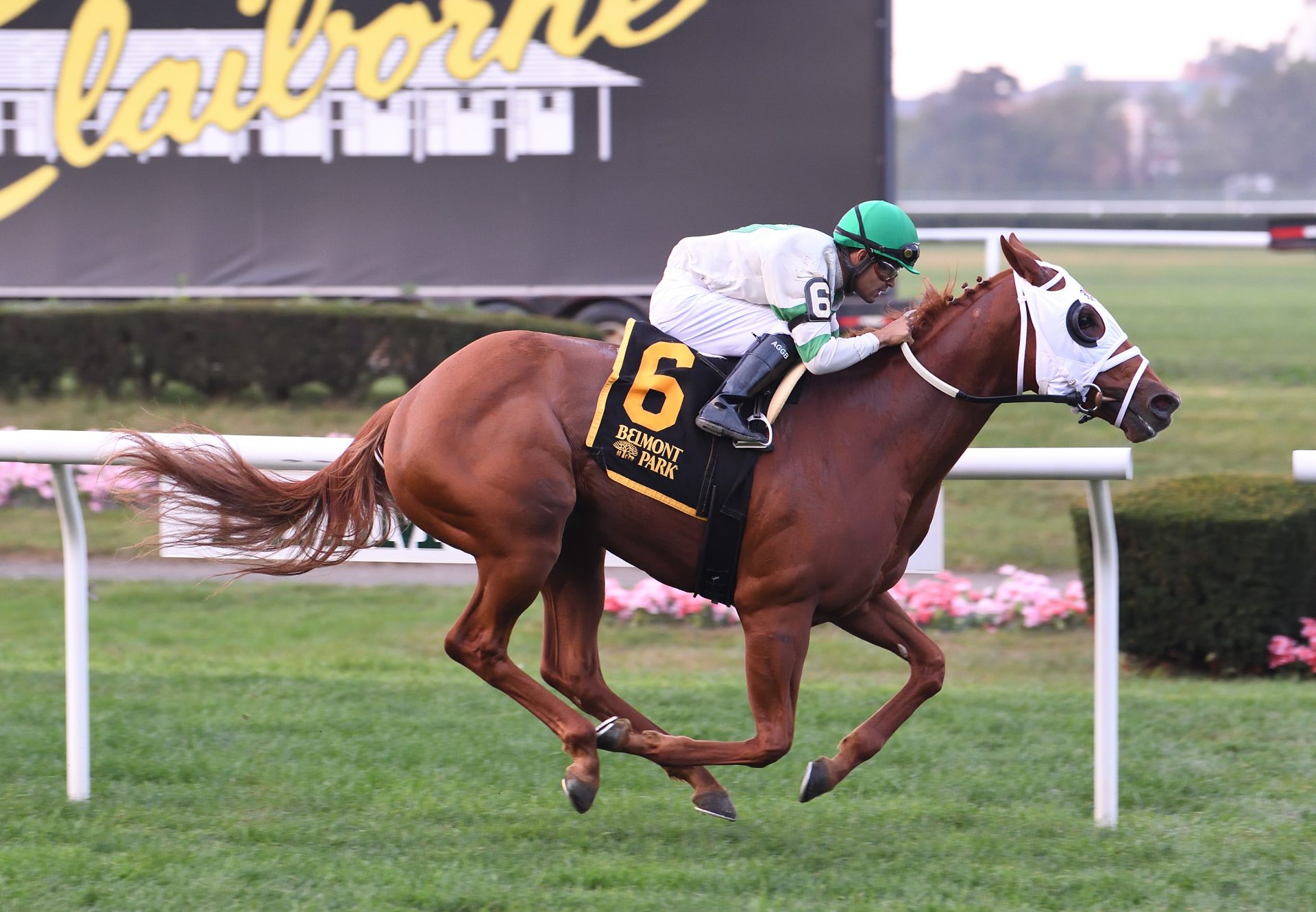 Classic Lynne (Classic Empire) winning a Belmont MSW