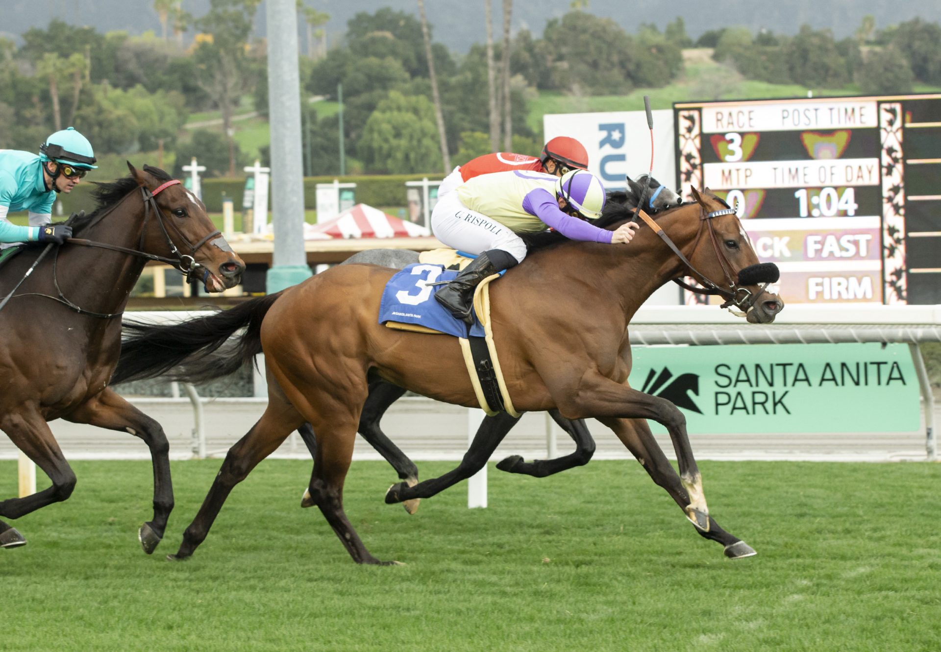 Classical Cat (Mendelssohn) Wins The Eddie Logan Stakes at Santa Anita