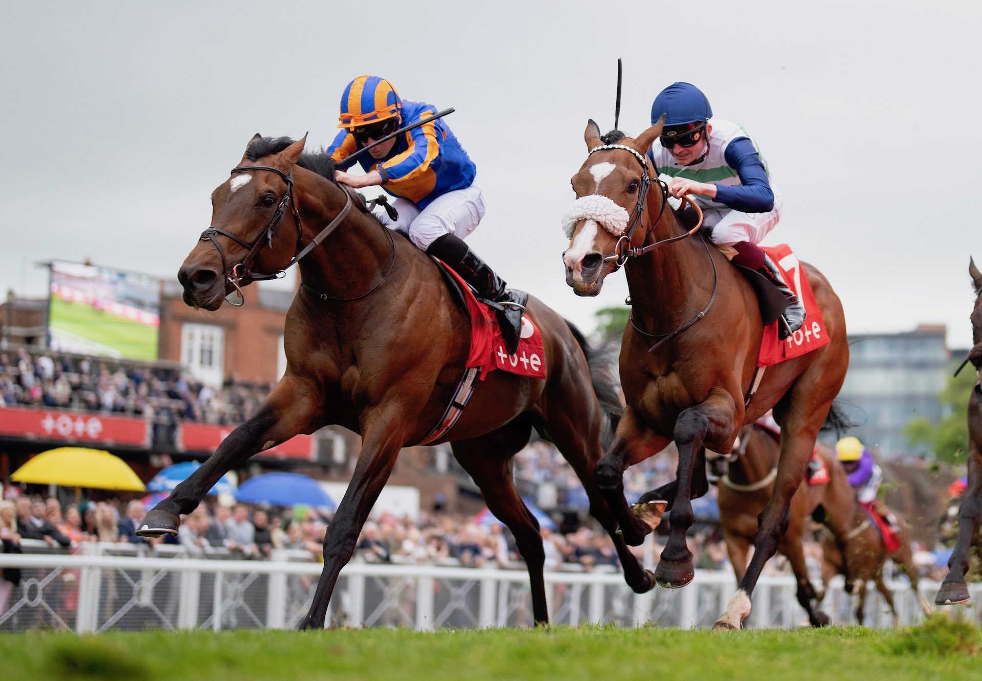 Cleveland (Camelot) Wins The Chester Cup at Chester