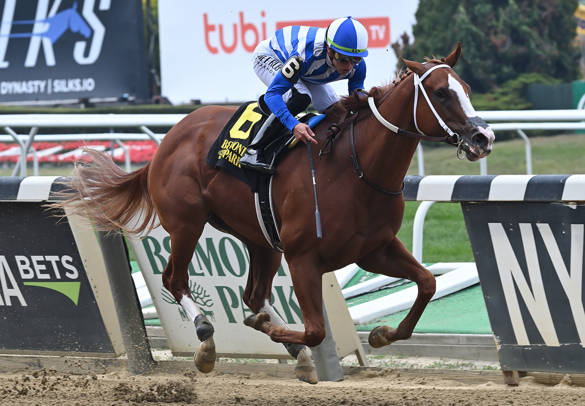 Closing Act (Munnings) Wins The Astoria Stakes at Belmont Park