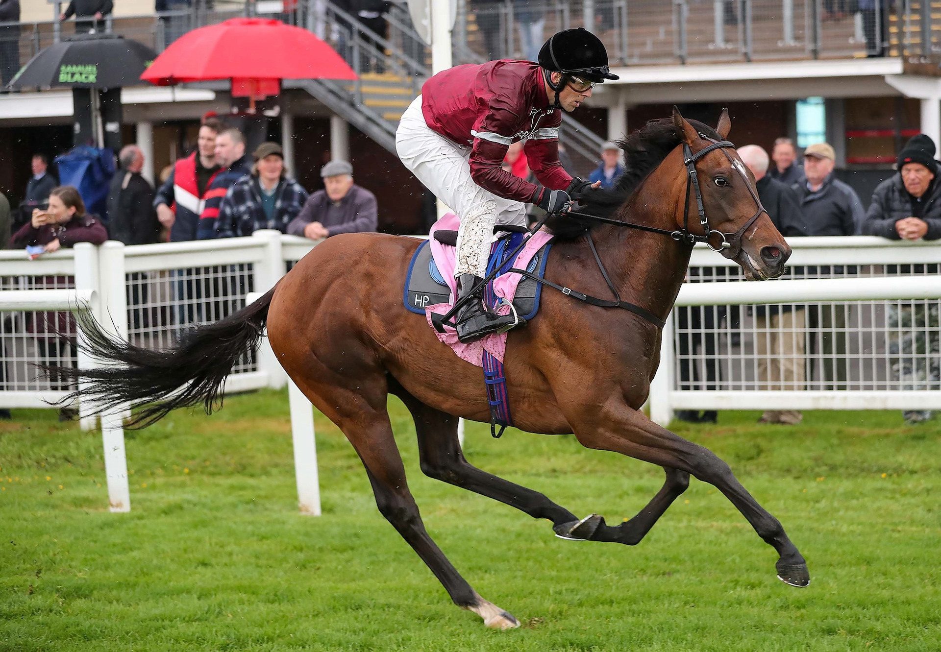 Coase Continues Fine Run For Zoffany