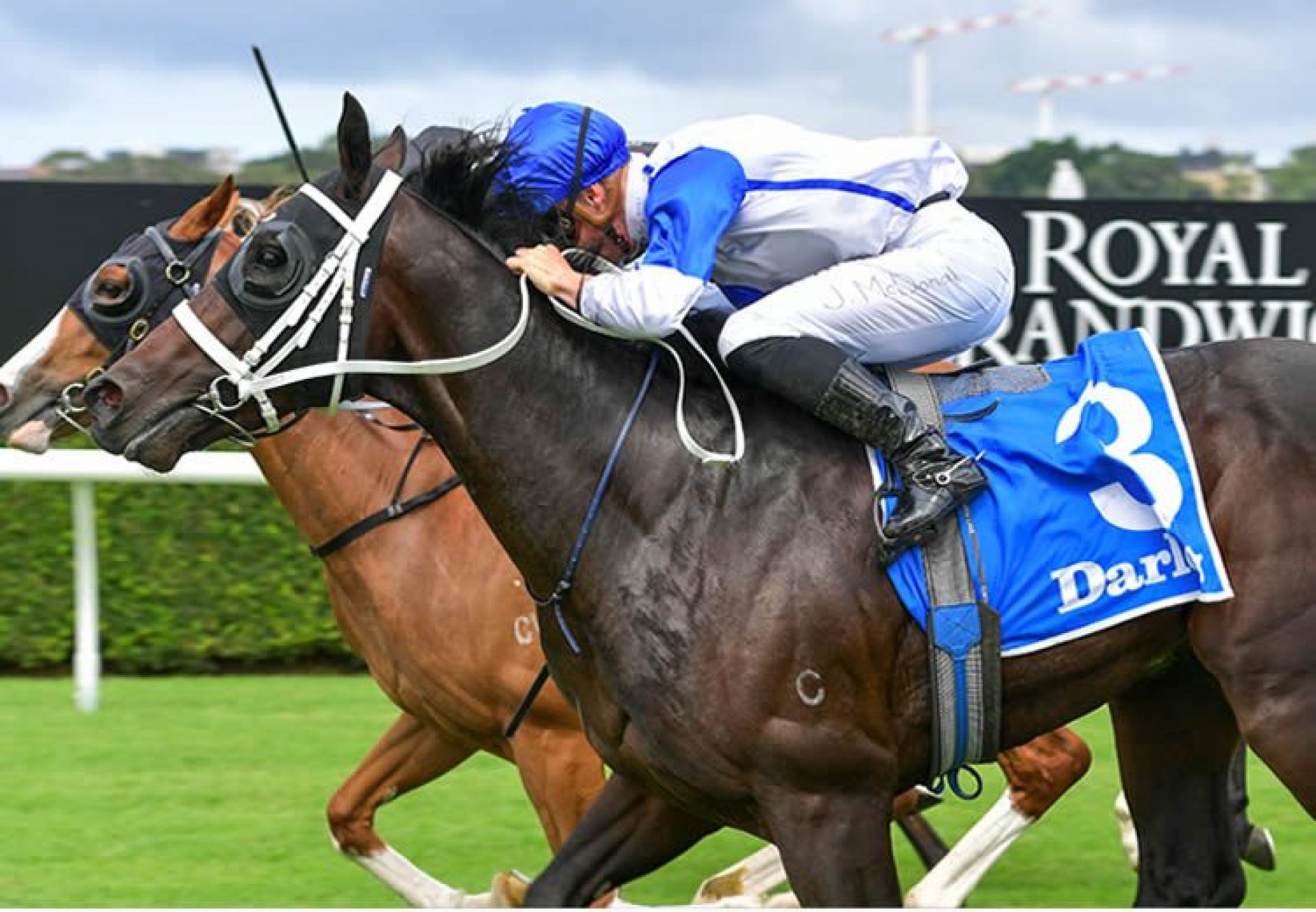 Coastwatch (Fastnet Rock) winning at Randwick