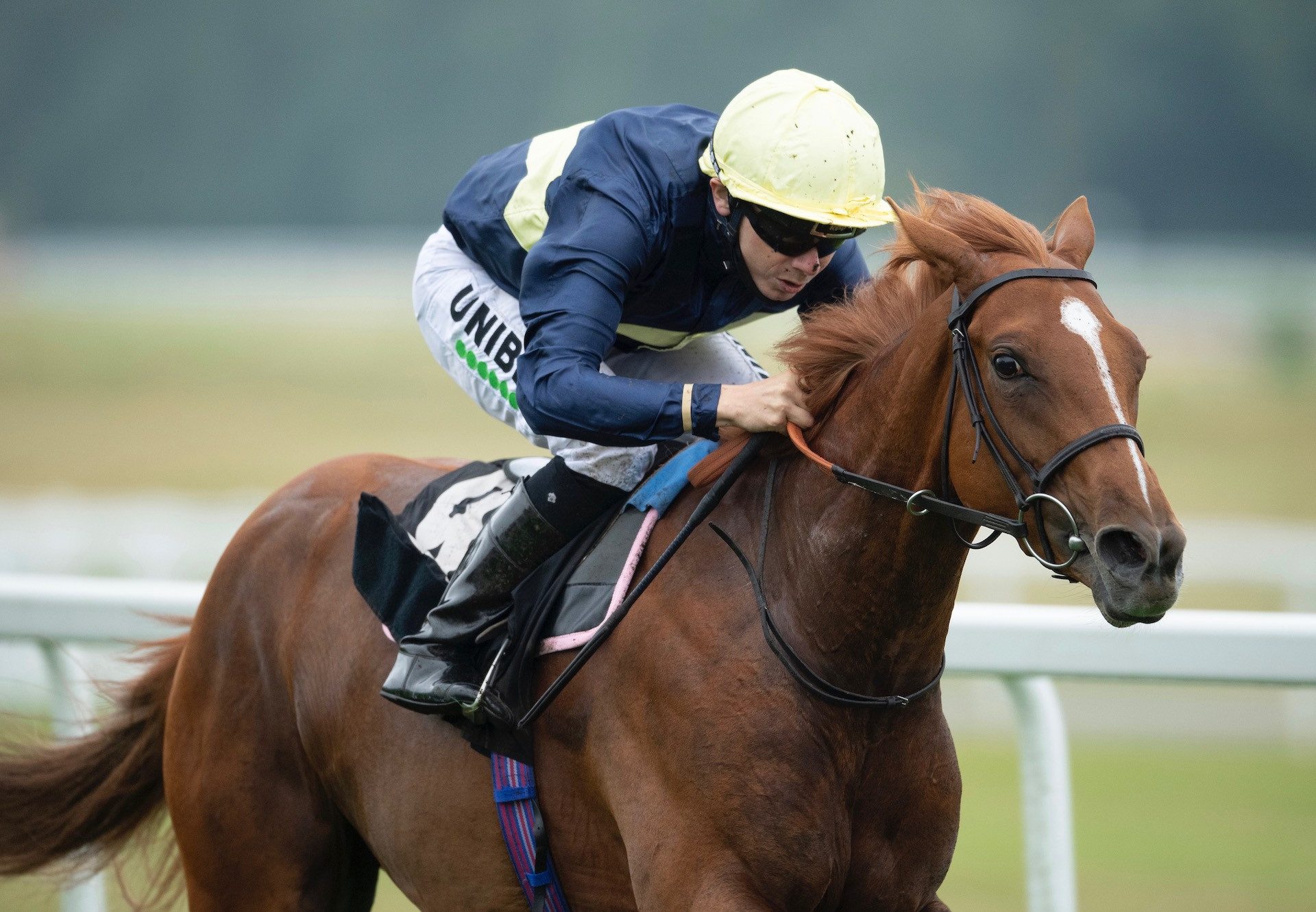 Coconut (Australia) Wins Her Maiden At Newbury