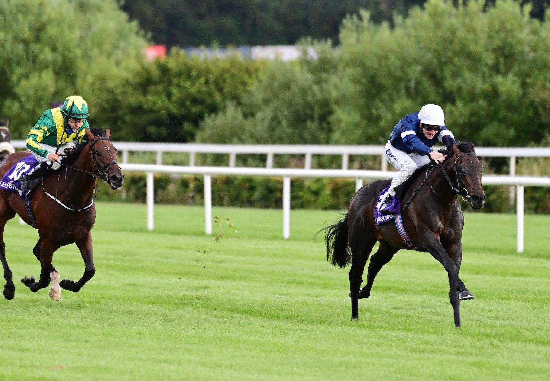 Collins Street (Camelot) Makes A Winning Debut At Leopardstown