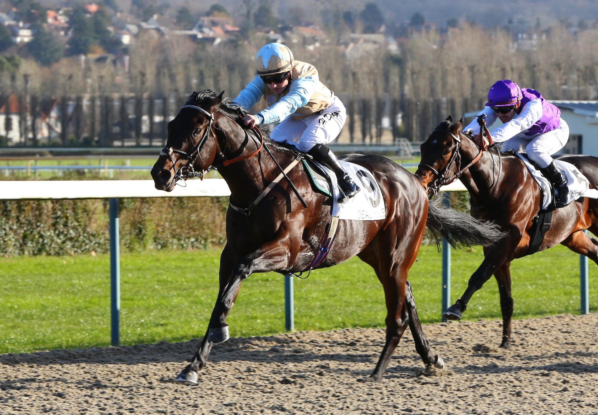 Colonel Faulkner (Wootton Bassett) Wins His Maiden At Deauville