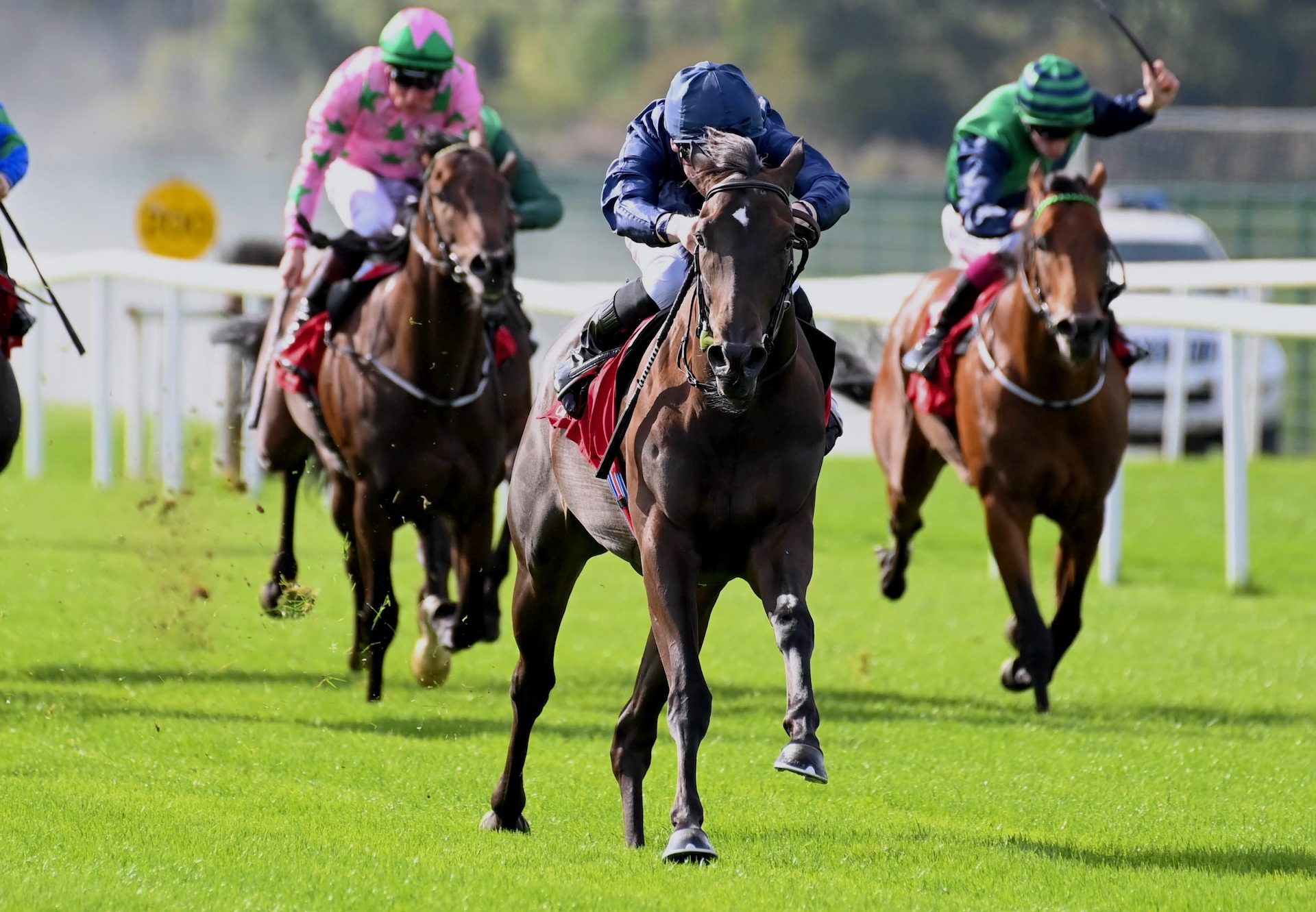 Comanche Brave (Wootton Bassett) Wins At Cork