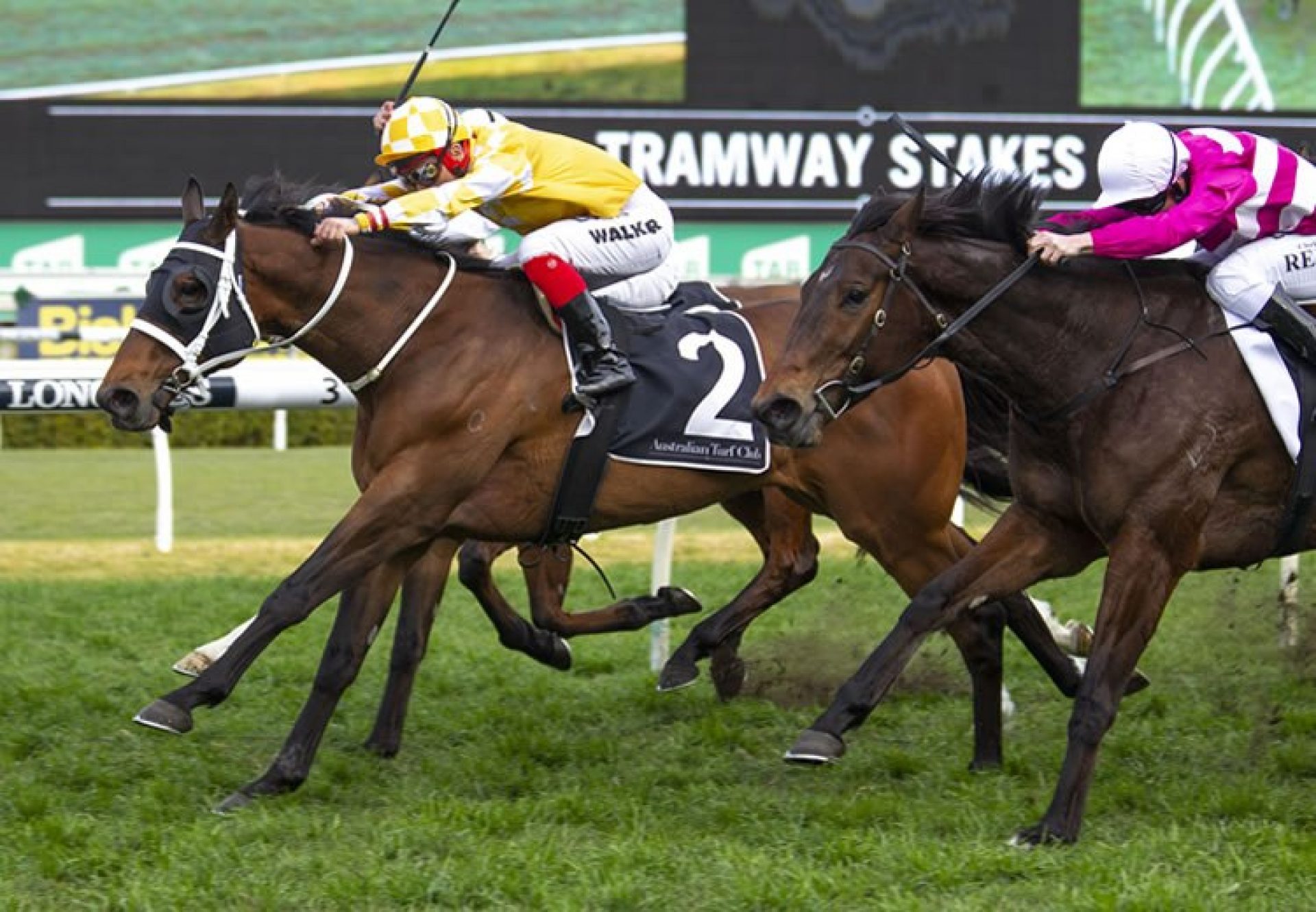 Comin Through (Fastnet Rock) winning the G2 ATC Tramway Stakes at Randwick