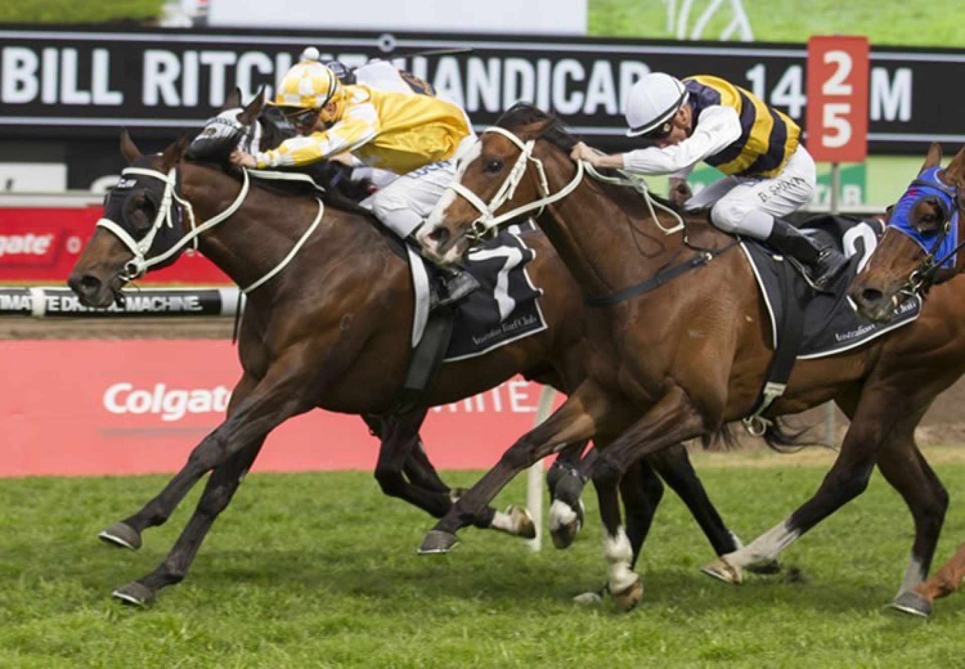 Comin' Through (Fastnet Rock) winning the G1 Doomben Cup at Morphettville Parks