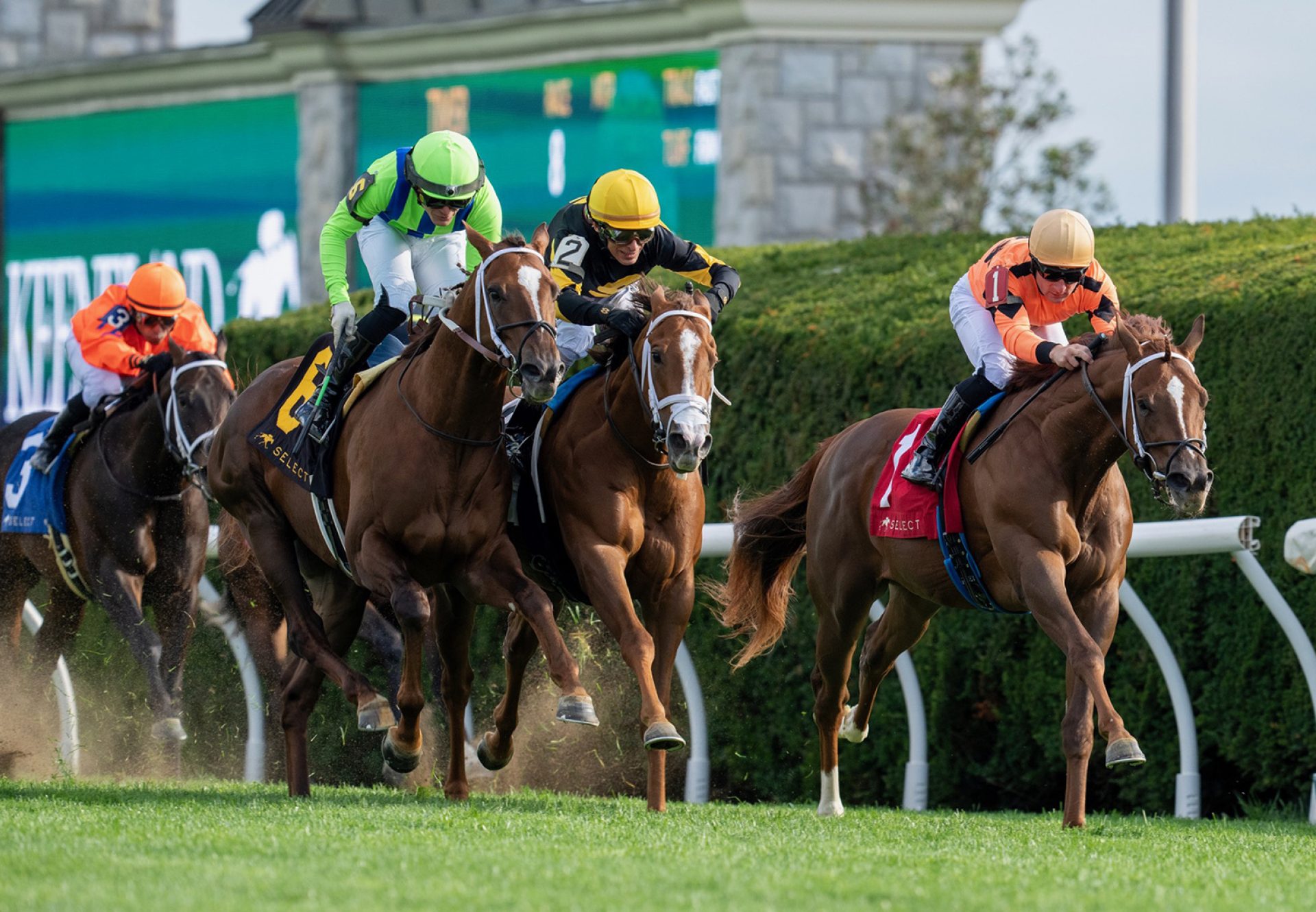 Committee Of One (Mendelssohn) Wins Indian Summer Stakes at Keeneland