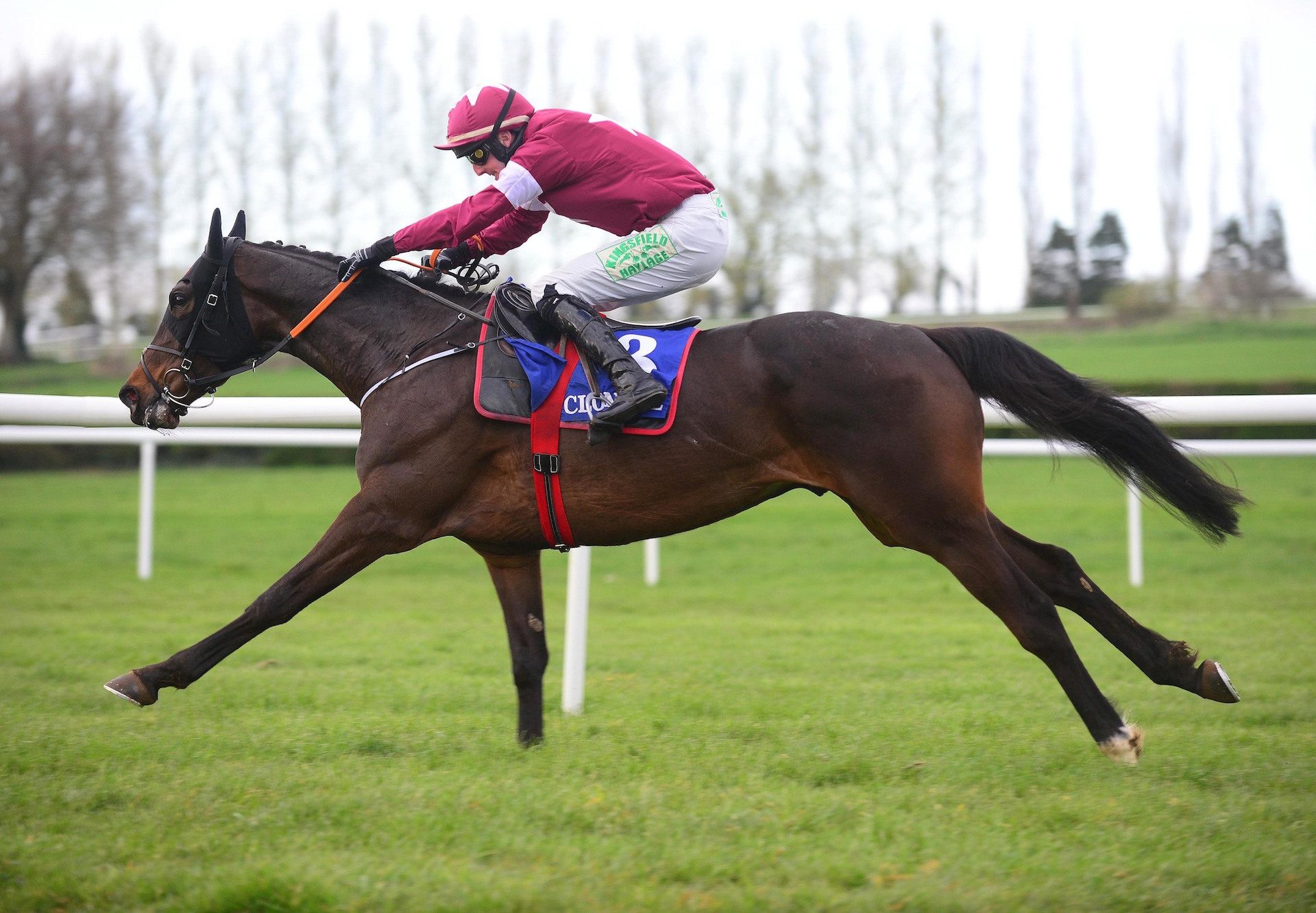 Conflated Becomes The Latest Winner By Yeats At Clonmel