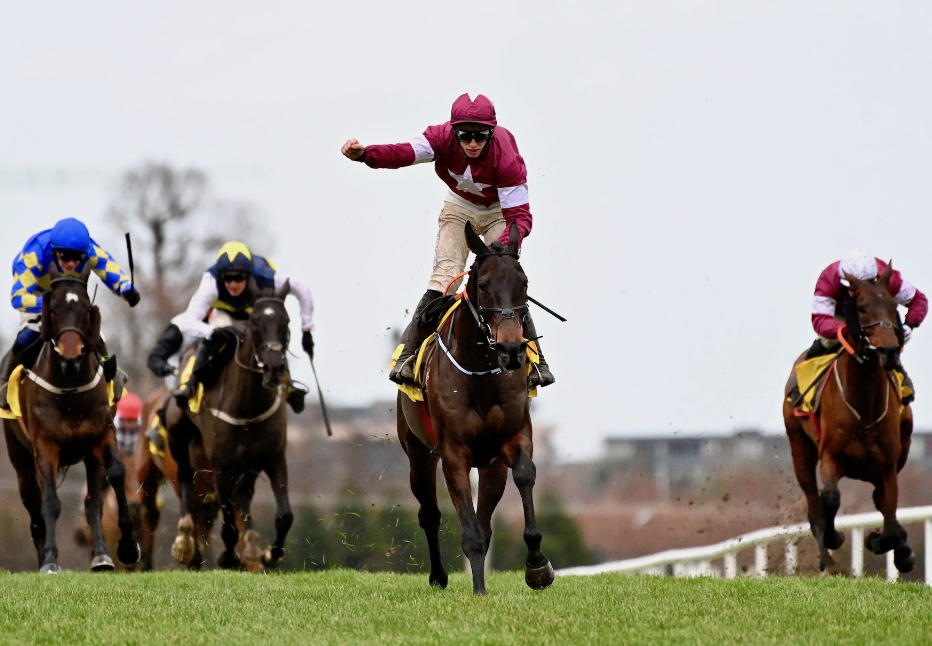 Conflated (Yeats) Wins The Grade 1 Savills Chase at Leopardstown