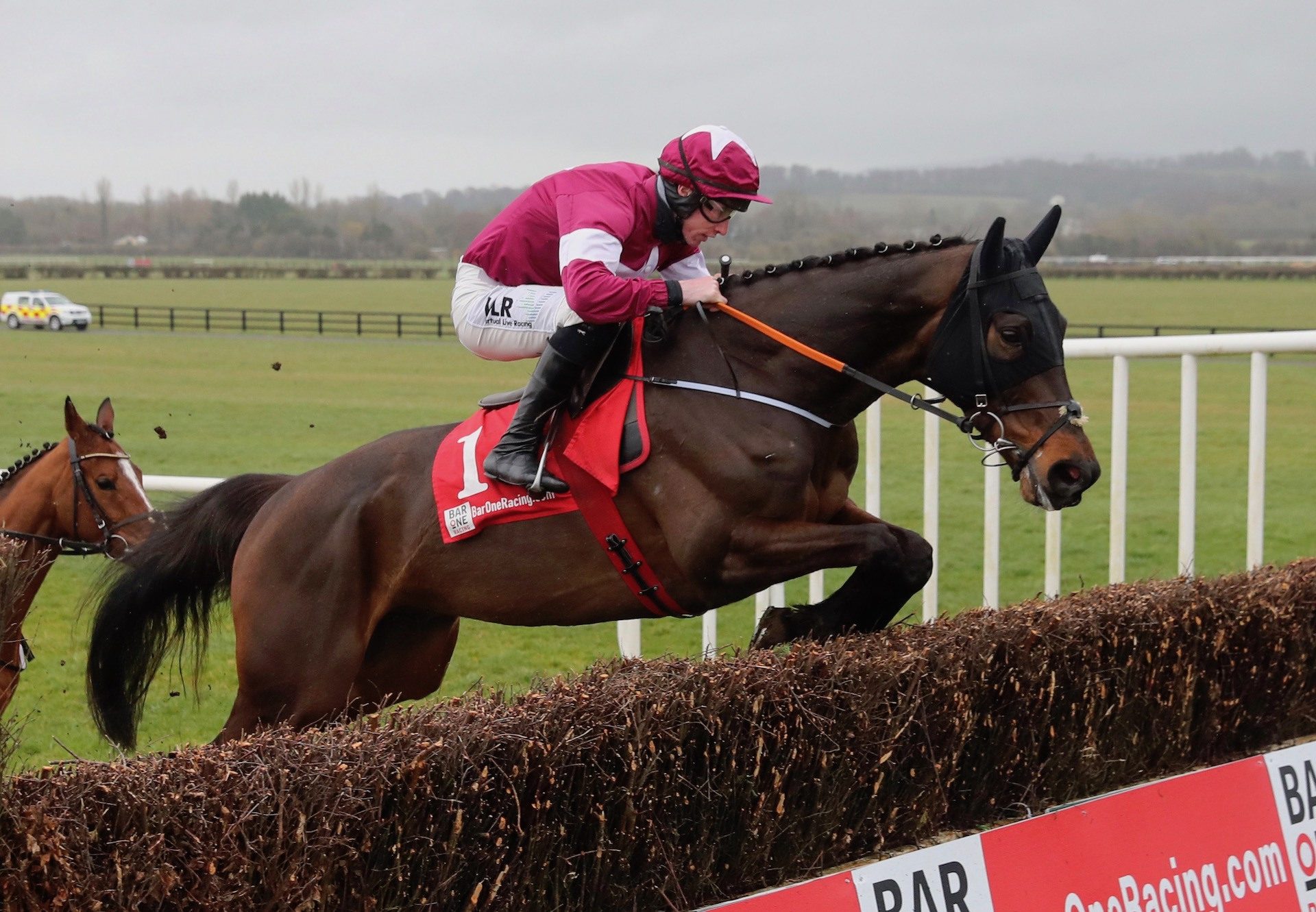 Conflated (Yeats) Wins The Grade 3 Directors Plate Novice Chase At Naas