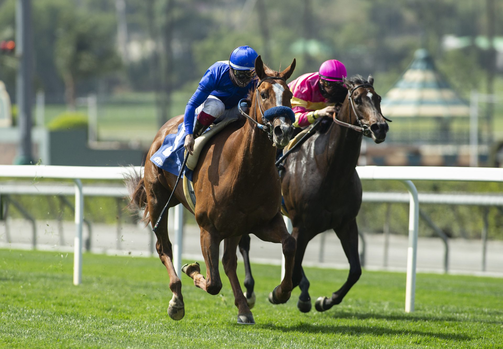 Constantia (Munnings) wins the Listed Mizdirection Stakes