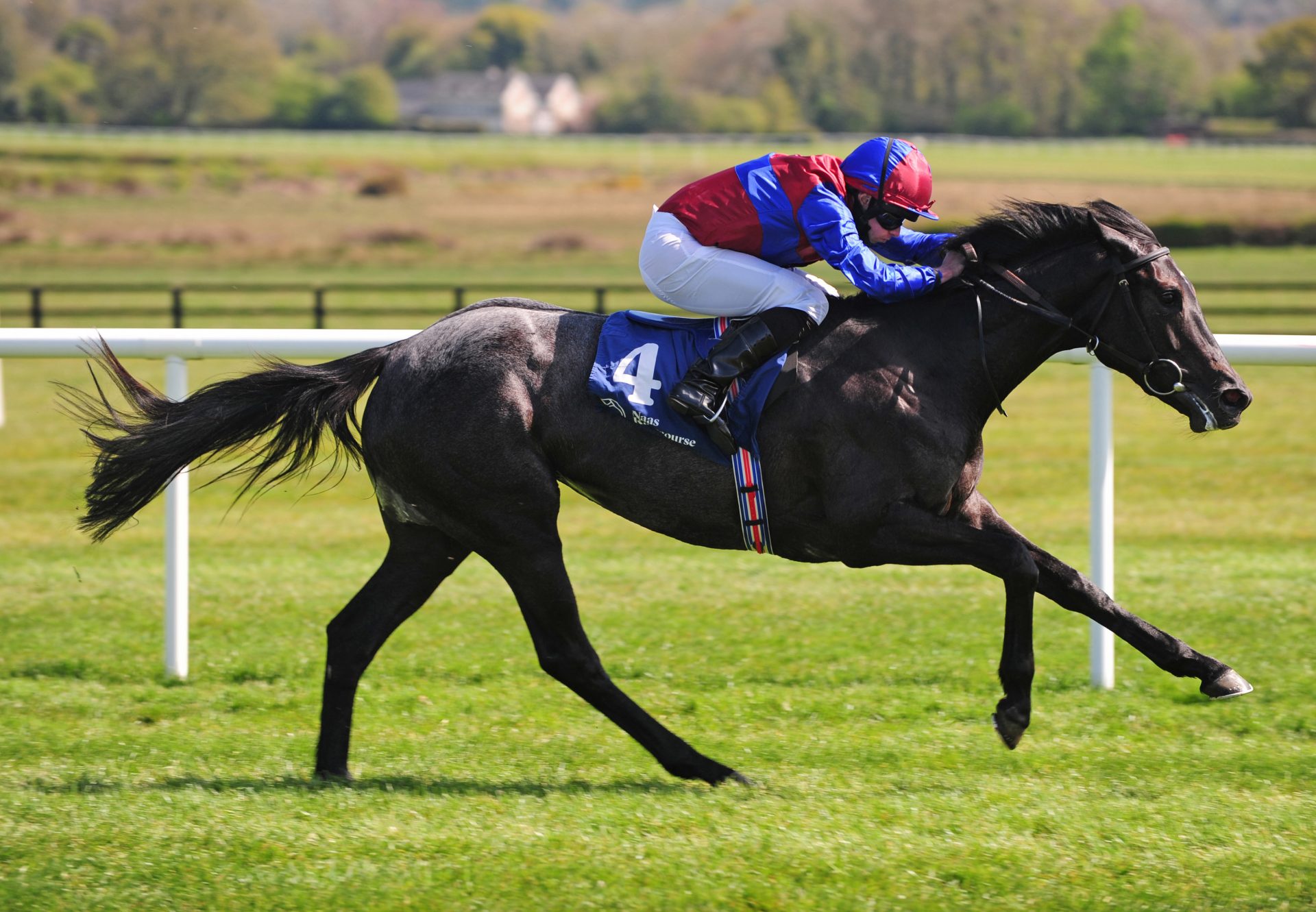 Contarelli Chapel (Caravaggio) wins maiden at Naas