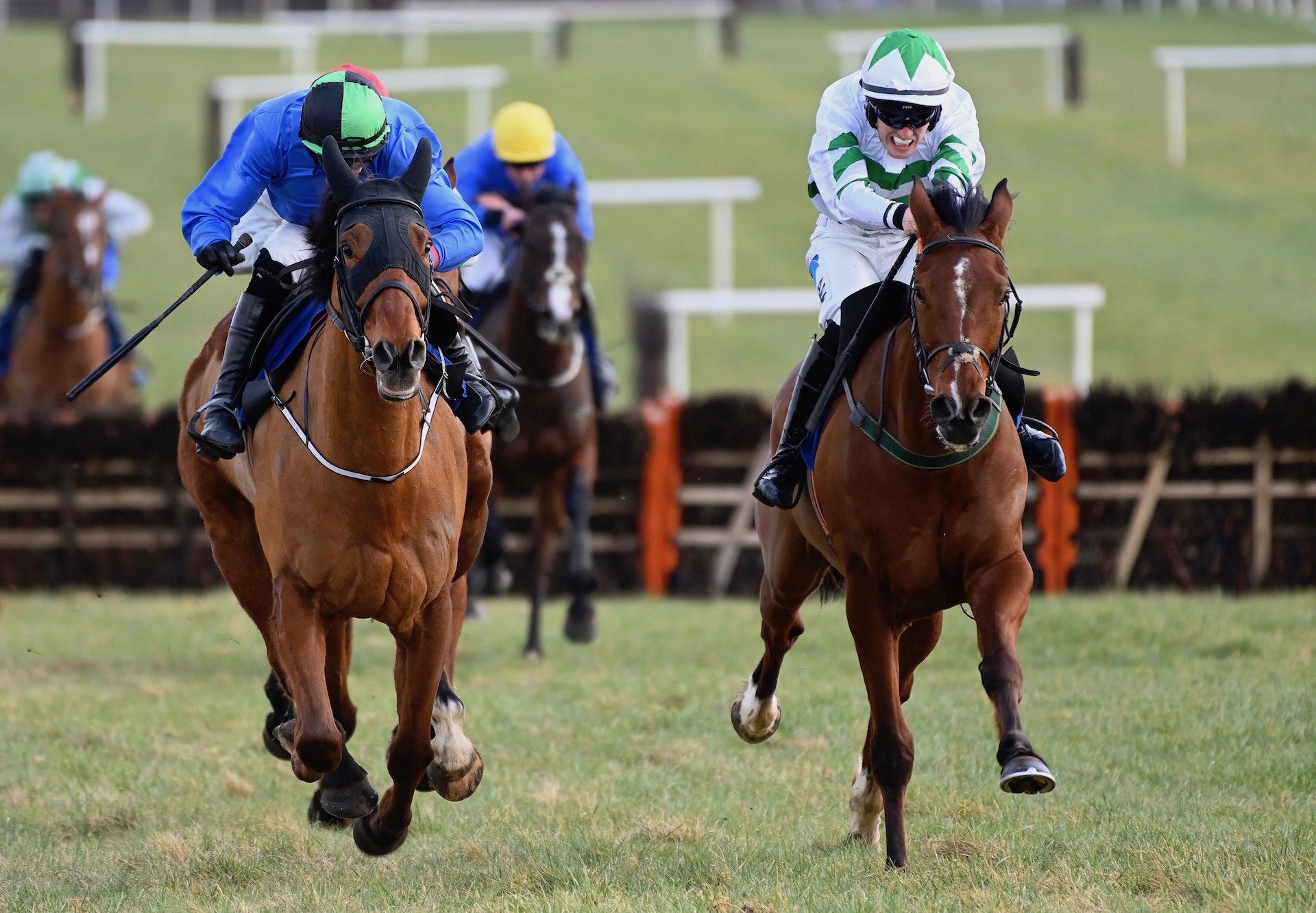 Coolmeen Park (Walk In The Park) Wins The Maiden Hurdle At Thurles