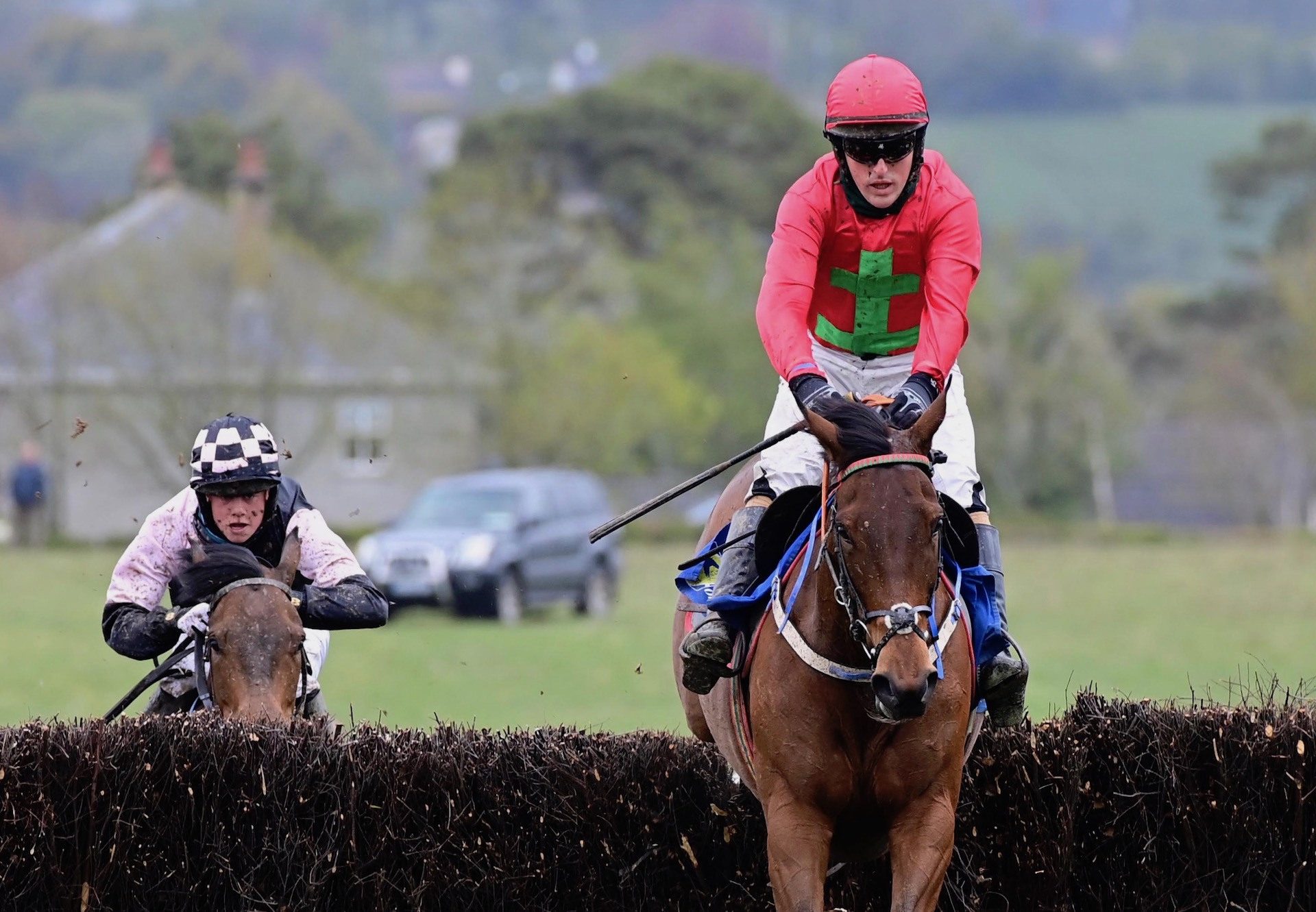 Copper Nation (Westerner) Wins The Four Year Old Mares Maiden At Dromahane