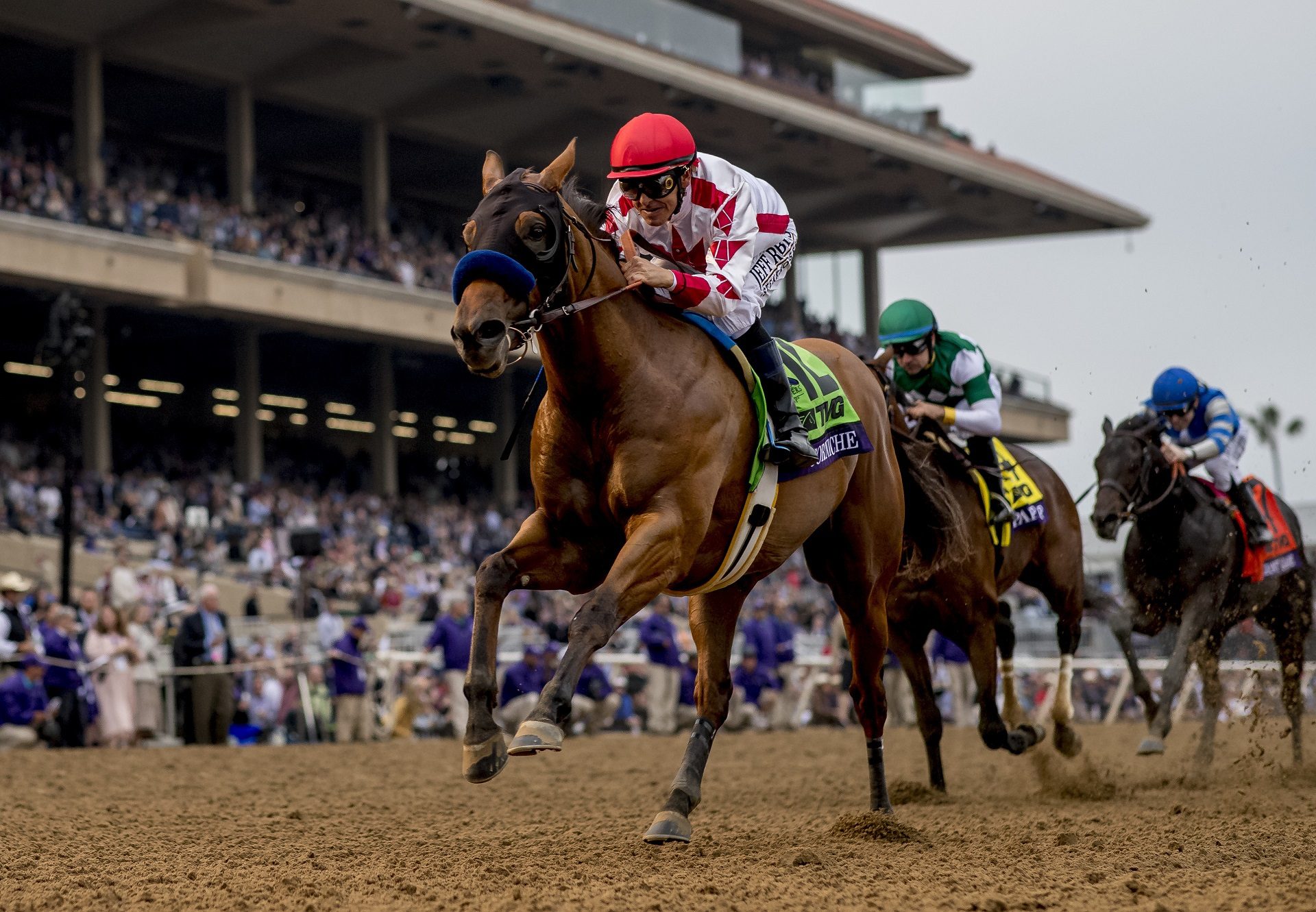 Corniche Winning The Breeders Cup Juvenile