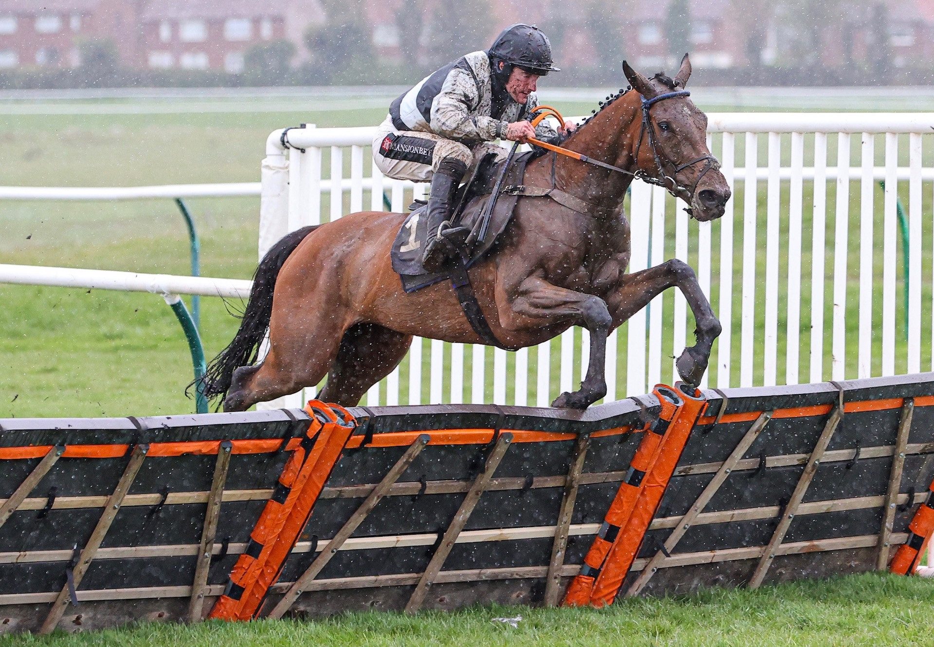 Could Be Trouble (Yeats) Wins The Mares Novices Hurdle At Ayr