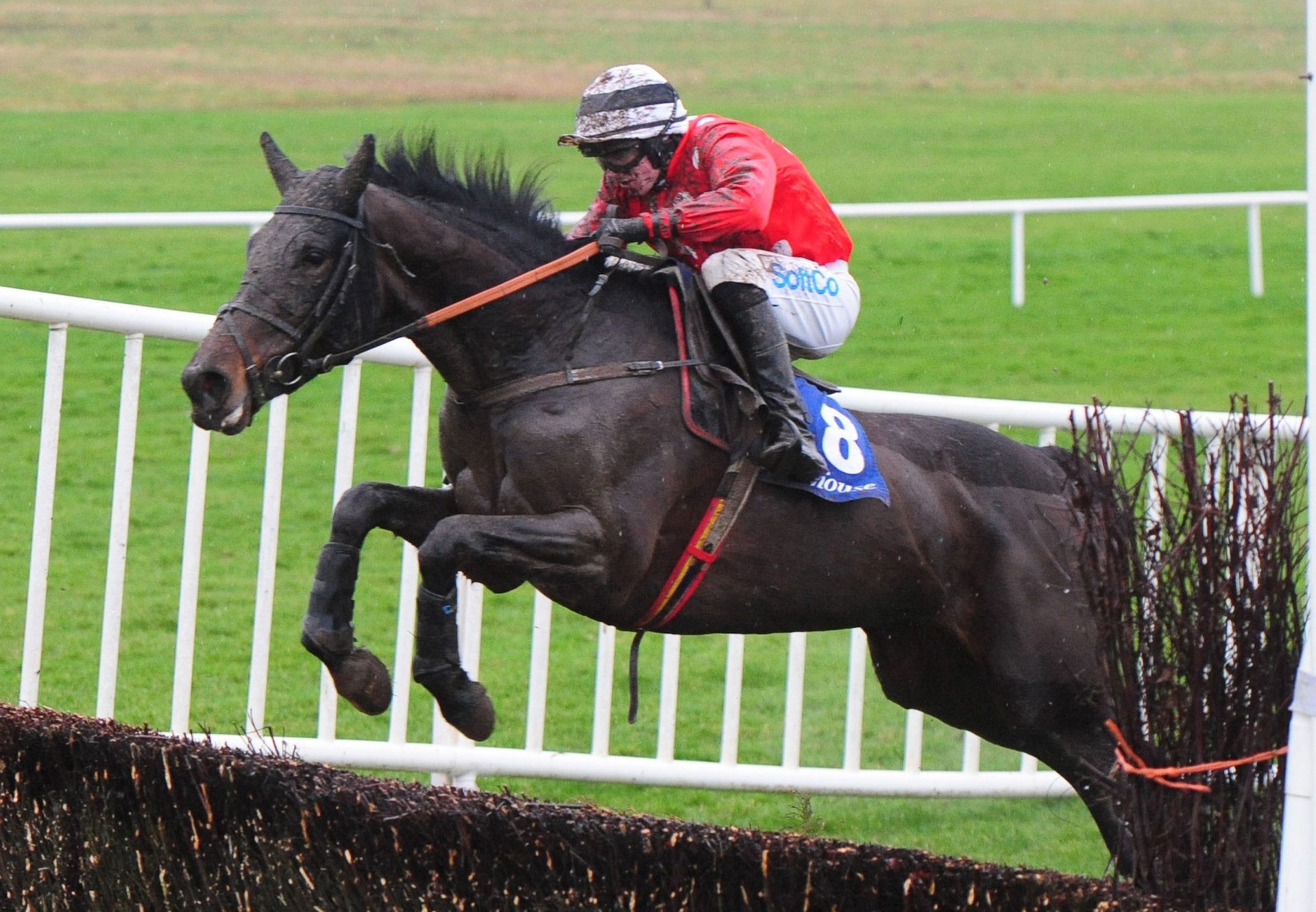 Countess Cathleen (Yeats) Wins The Beginners Chase At Fairyhouse