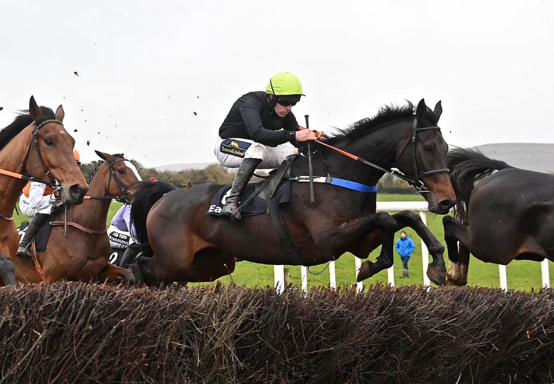 Country Park (Walk In The Park) Wins The 4YO Maiden At Quakerstown