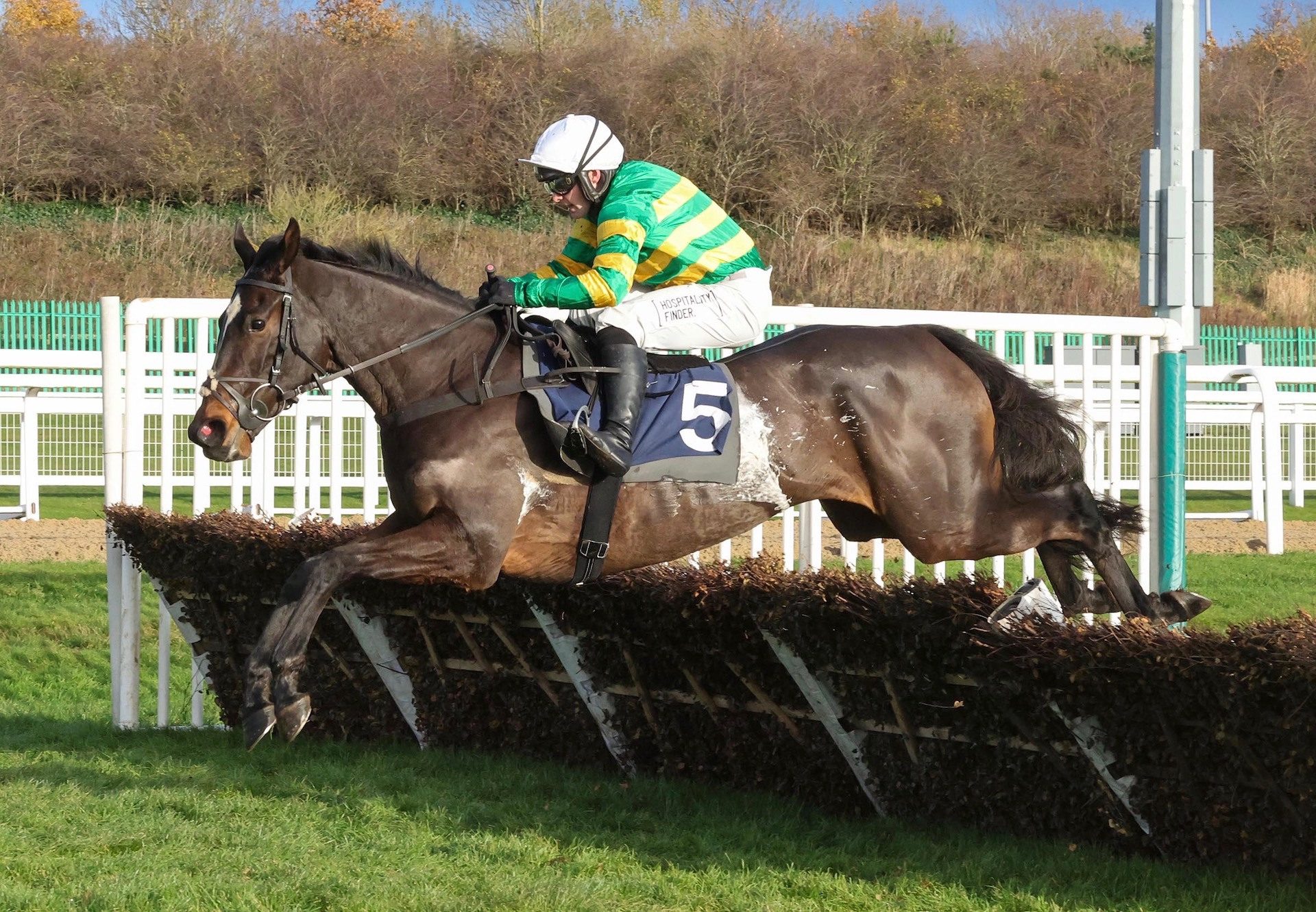 Crebilly (Soldier Of Fortune) Wins The Maiden Hurdle At Newcastle