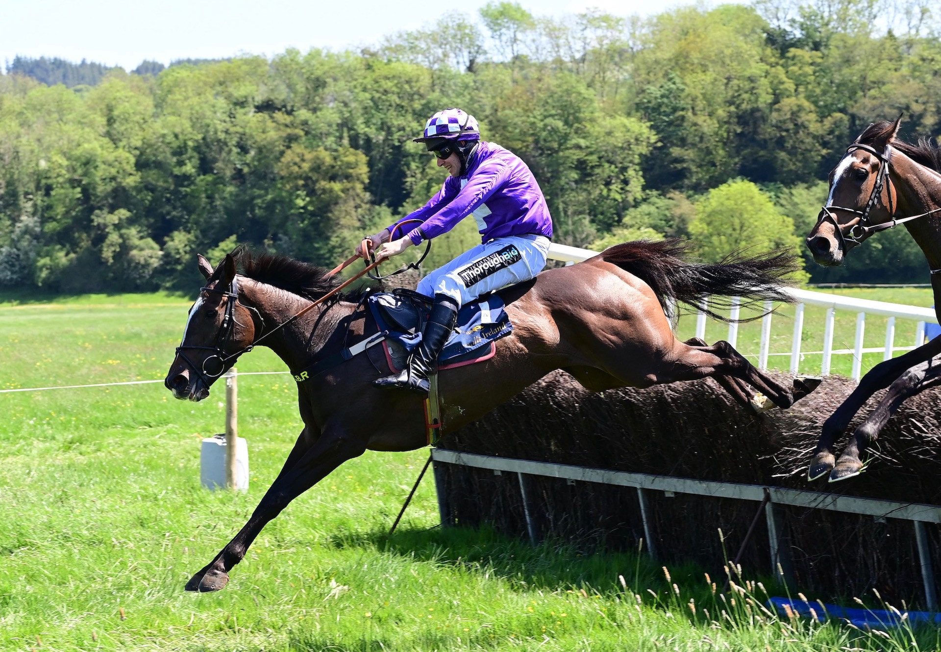 Croi Corcra (Soldier Of Fortune) Wins The 4 YO Mares Maiden At Grennan