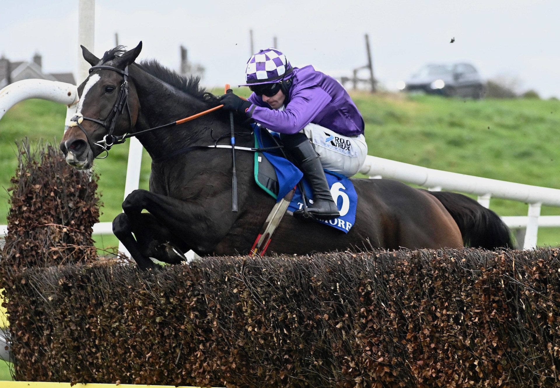 Croi Corcra (Soldier Of Fortune) Wins The Beginners Chase At Tramore
