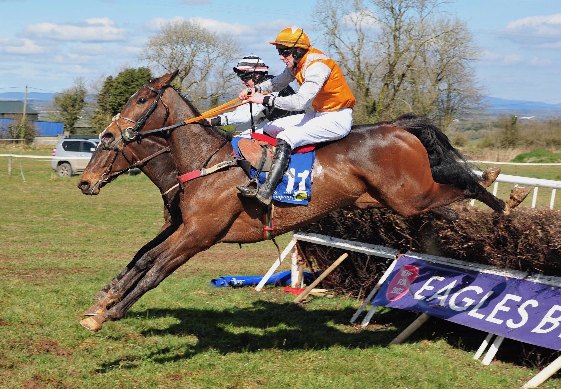 Croke Park (Walk In The Park) Wins The 4YO Maiden At Dromahane