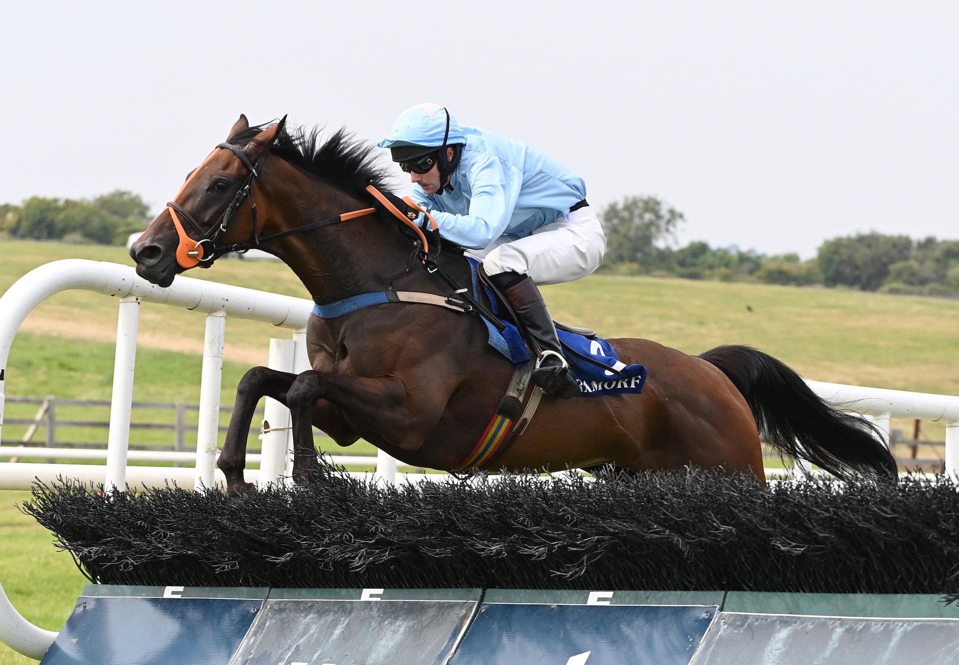 Cruisin Susan (Walk In The Park) Wins The Maiden Hurdle At Tramore