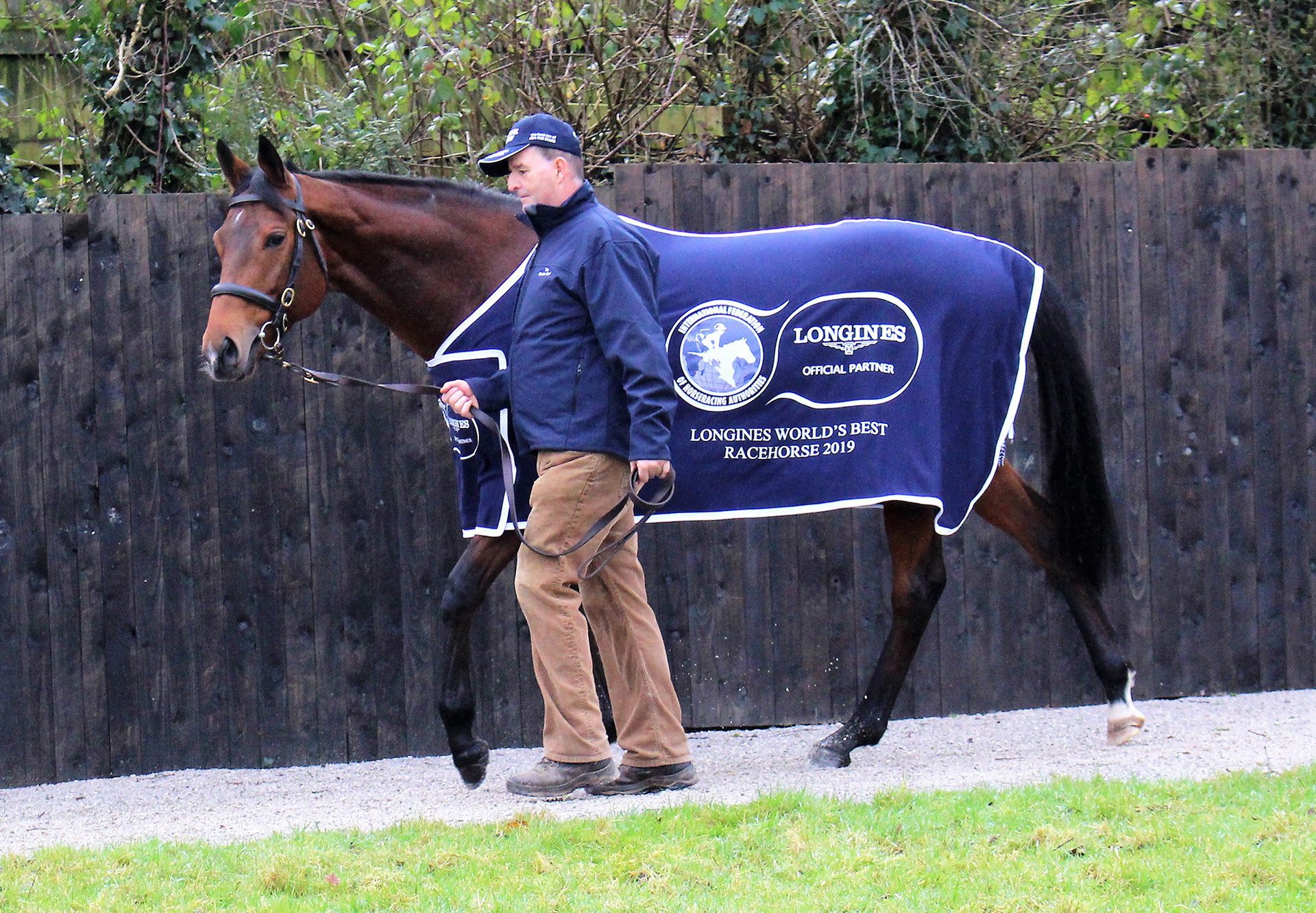 Crystal Ocean Walking With Longines Rug