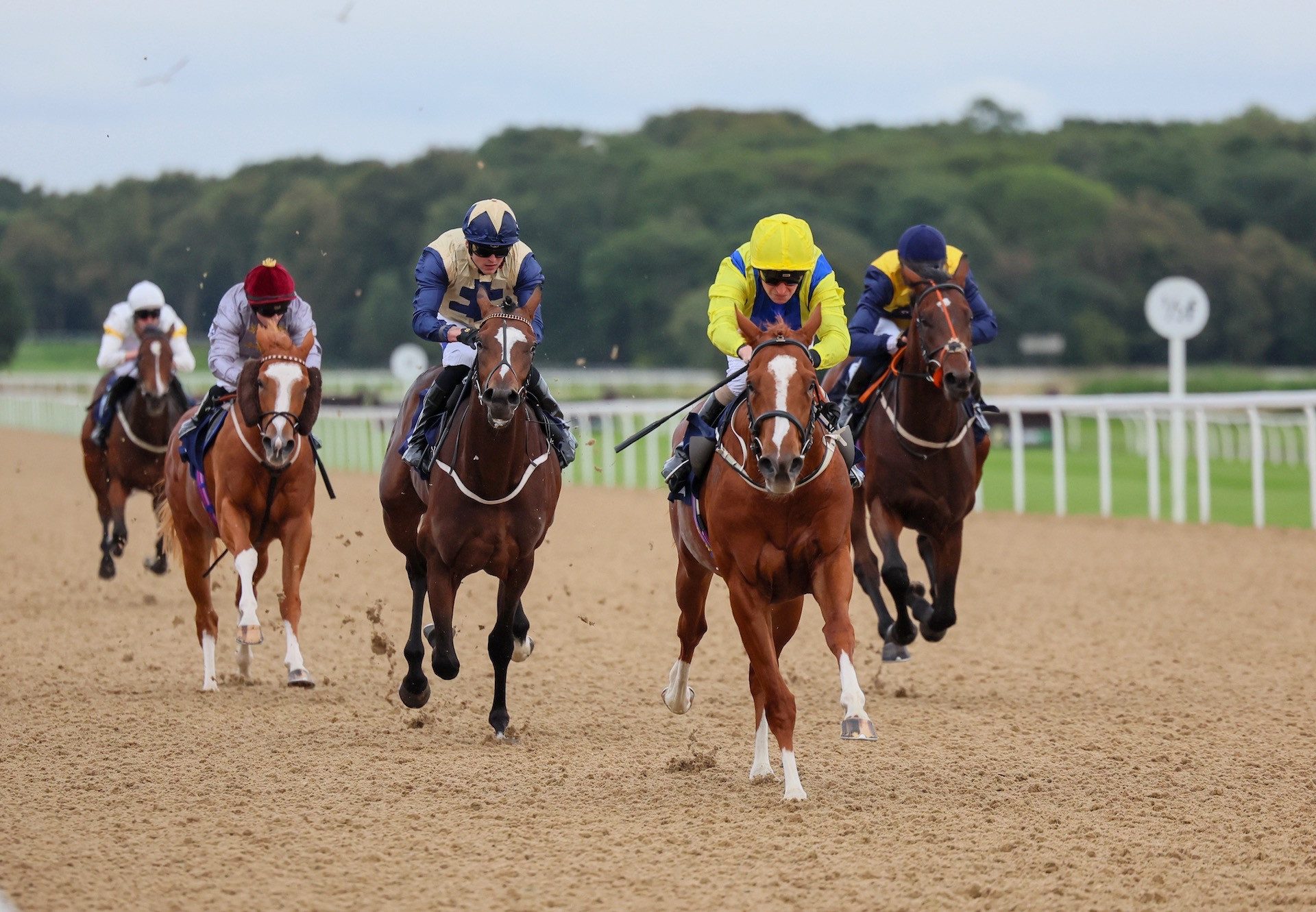 Curran (Gleneagles) Wins At Newcastle