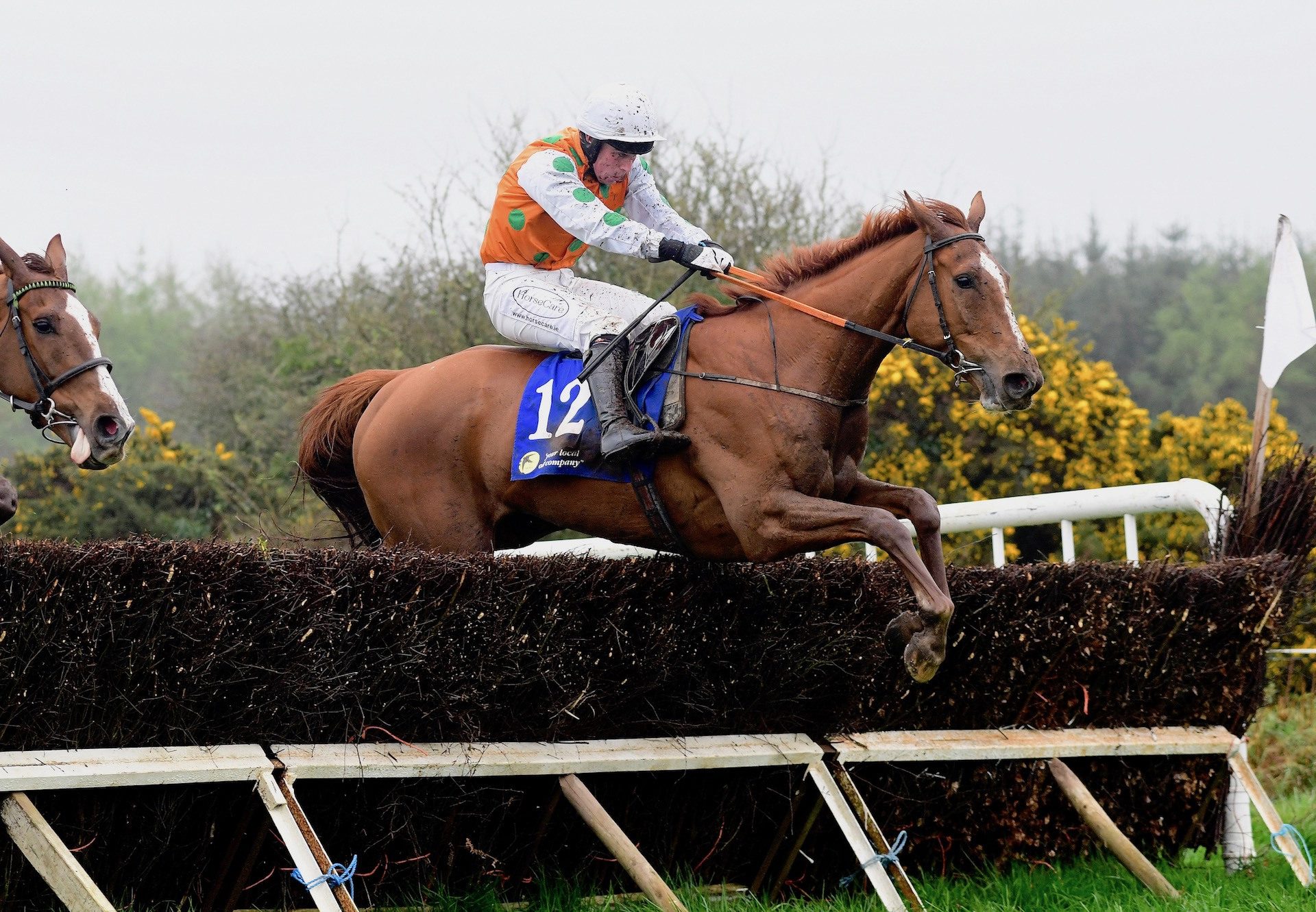 D B Cooper (Getaway) Wins On Debut At Ballyknock