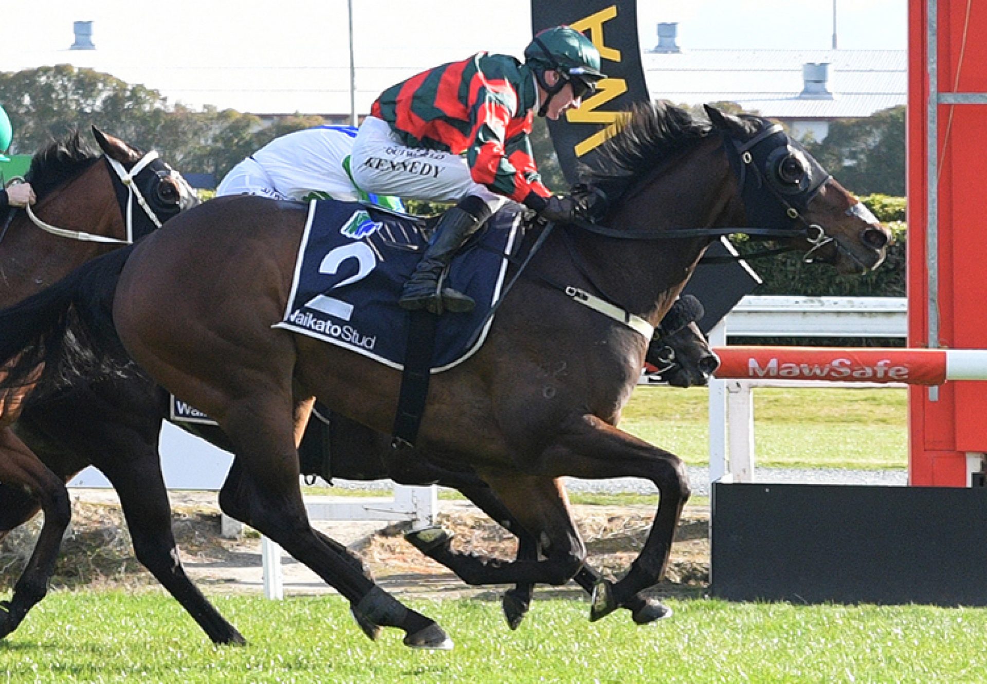 Dragon Leap (So You Think) wins the G2 Foxbridge Plate at Te Rapa