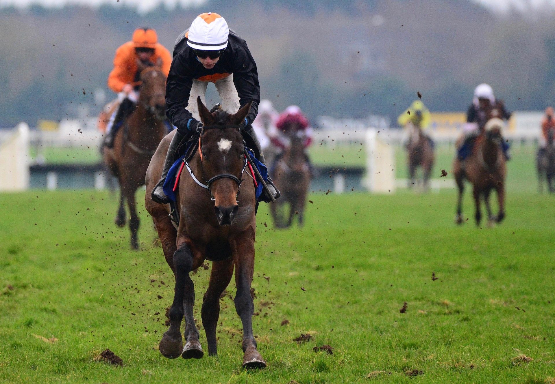 Daily Present (Mahler) Wins The Maiden Hurdle At Fairyhouse