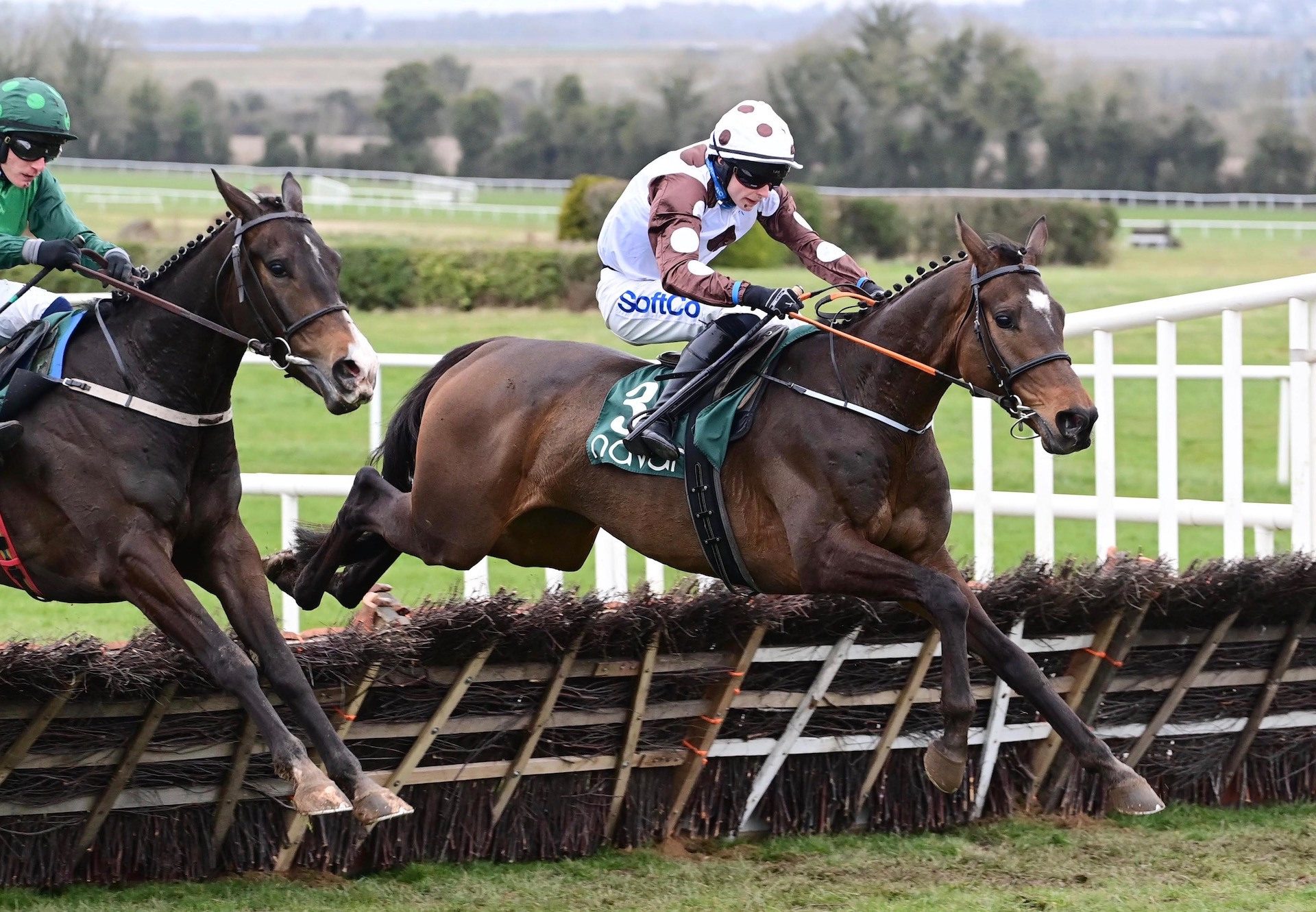 Daily Present (Mahler) Wins The Novice Hurdle At Navan