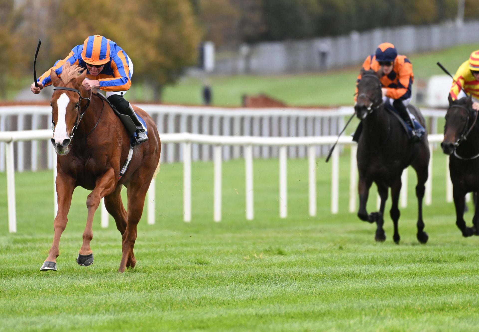 Dame Kiri (Justify) Breaks Maiden At Naas