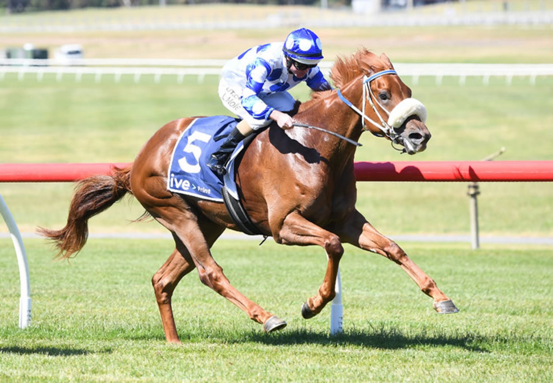 Dance To Dubai (Pride Of Dubai) wins at Sandown